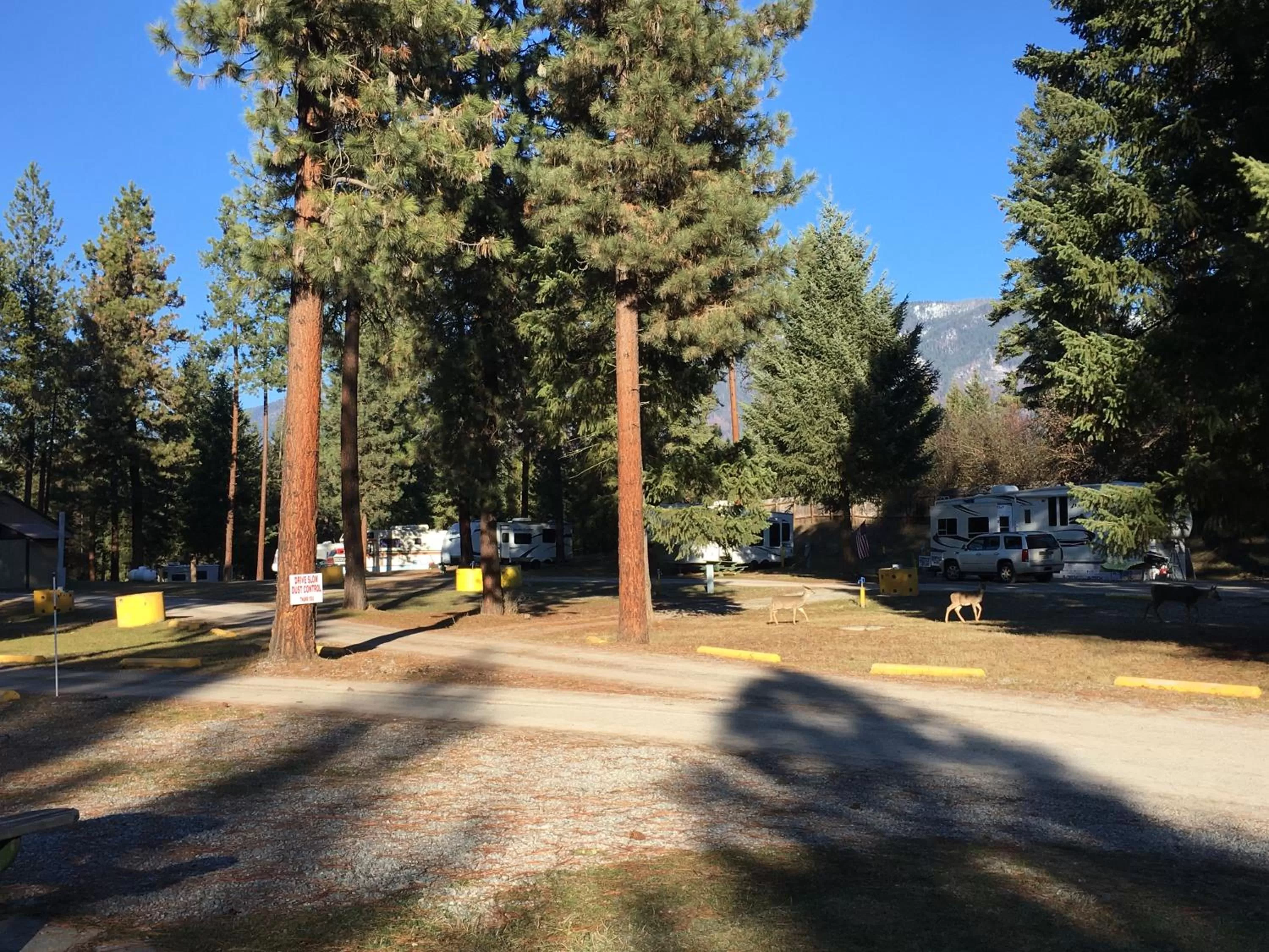 Natural landscape in Rimrock Lodge LLC