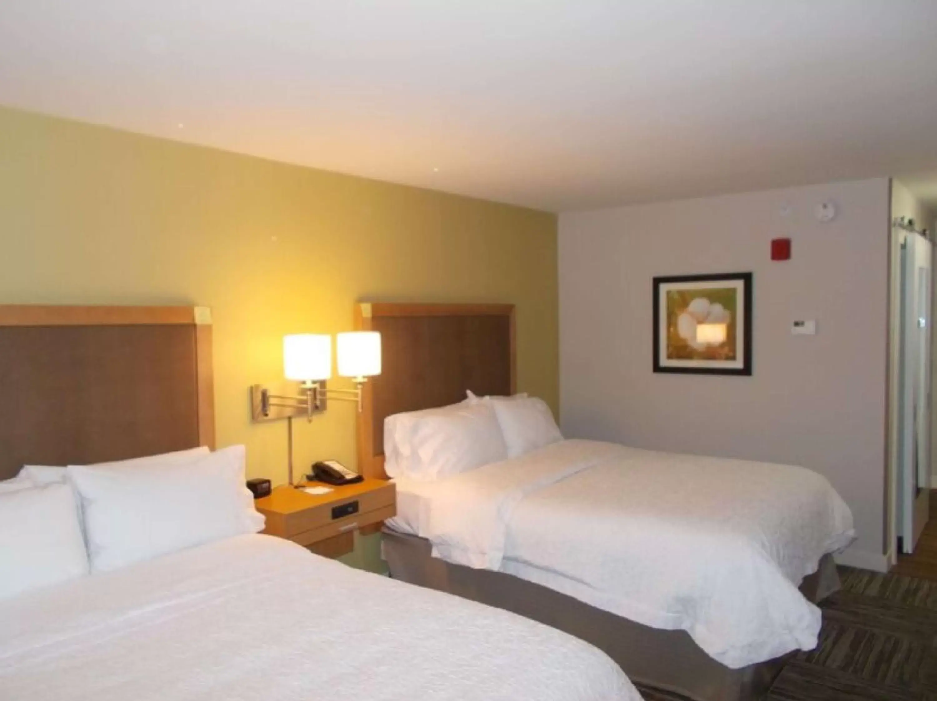 Bed in Hampton Inn By Hilton Waynesboro, GA