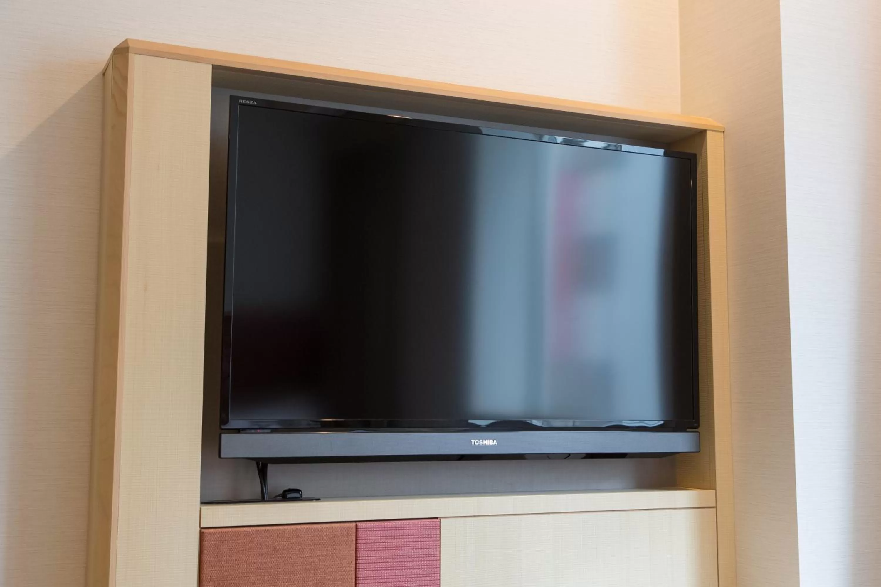 TV and multimedia in JR Kyushu Hotel Blossom Hakata Central