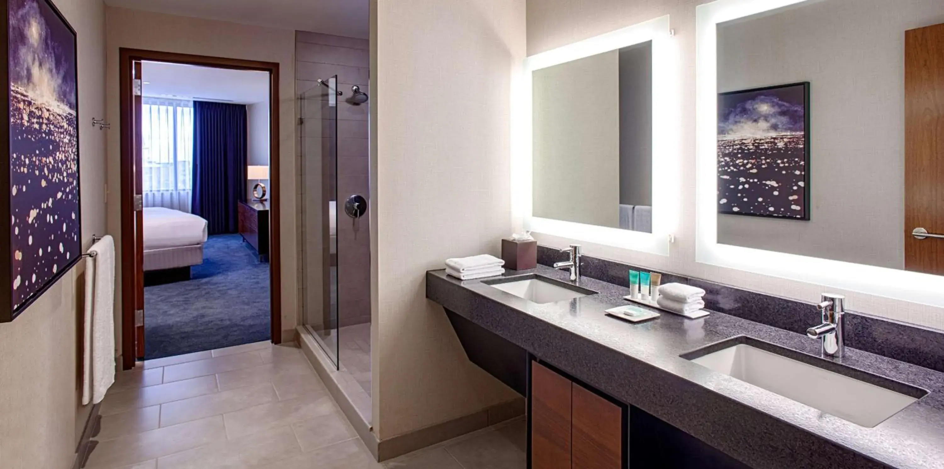 Bathroom in Hyatt Regency Minneapolis