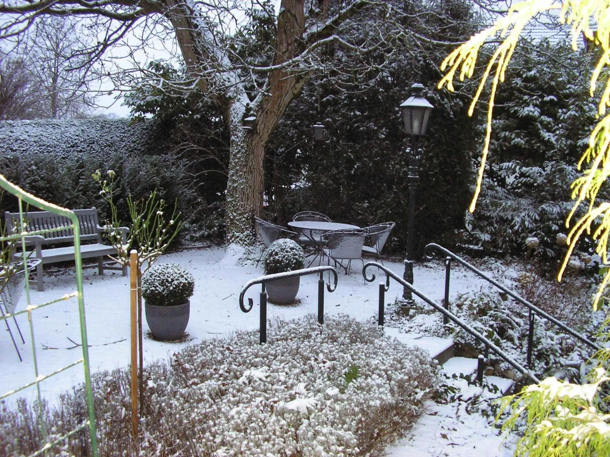 Winter in Walnut Lodge Bed & Breakfast