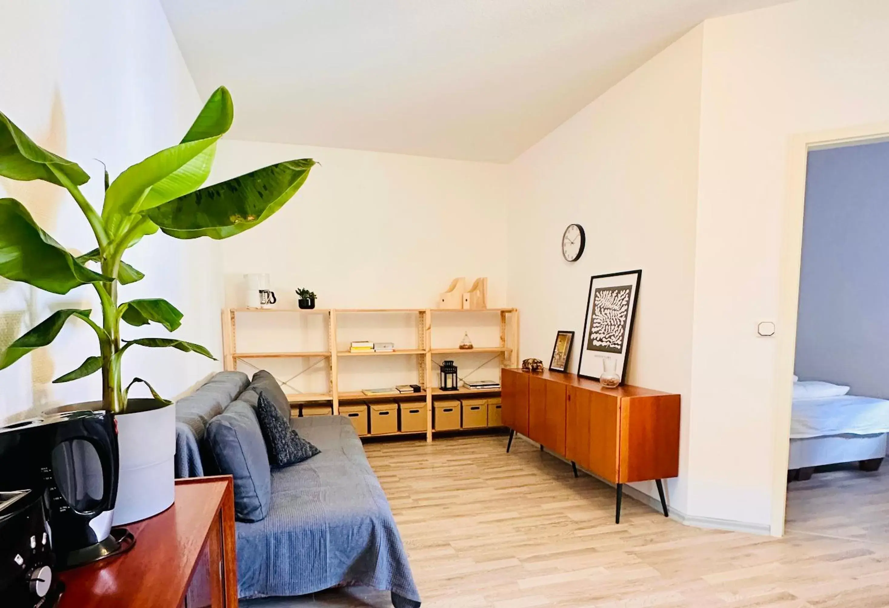 One-Bedroom Apartment in Saale, Marktplatz Zentrum, Apartmenthaus am Dom von Plant Room One-Bedroom Apartment in Saale, Marktplatz Zentrum, Apartmenthaus am Dom von Plant Room