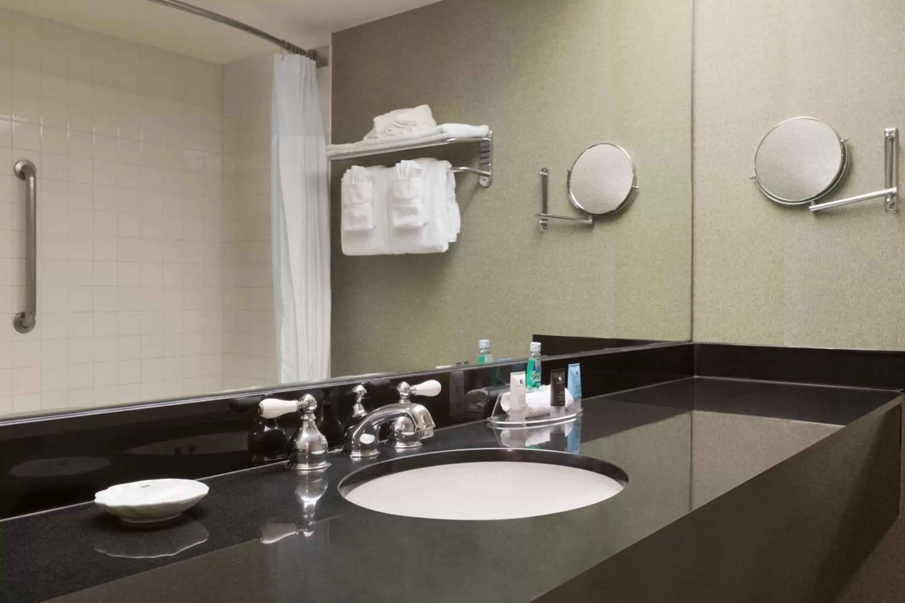 Bathroom in Crowne Plaza Auburn Hills, an IHG Hotel