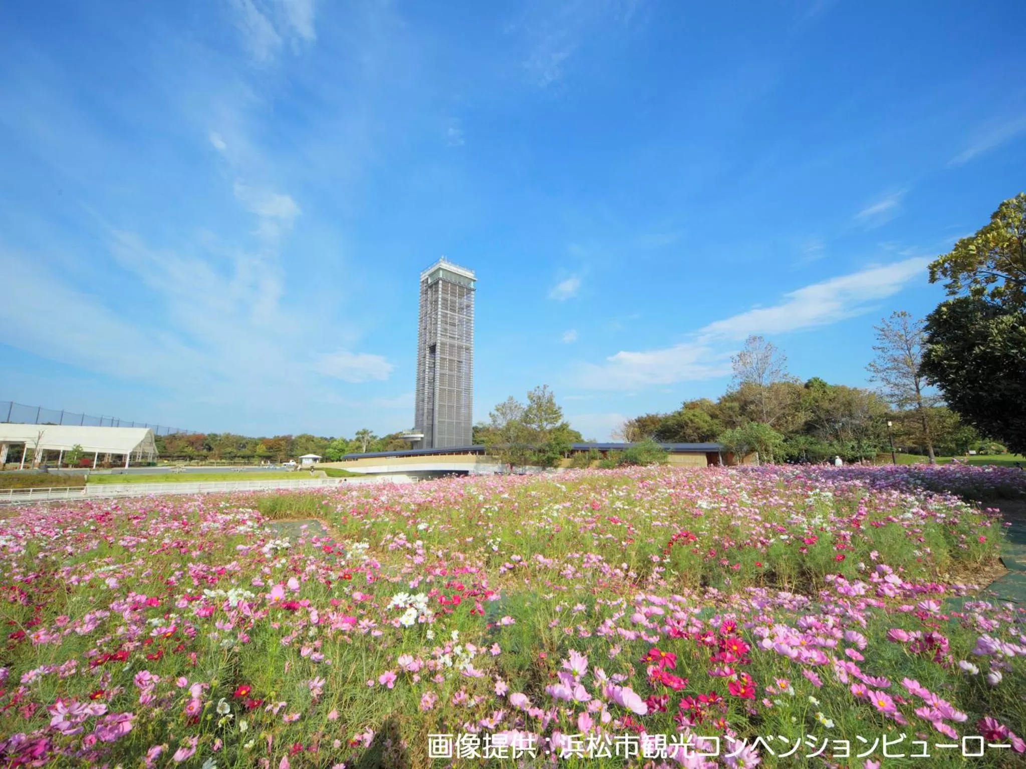 Nearby landmark in Hotel Crown Palais Hamamatsu
