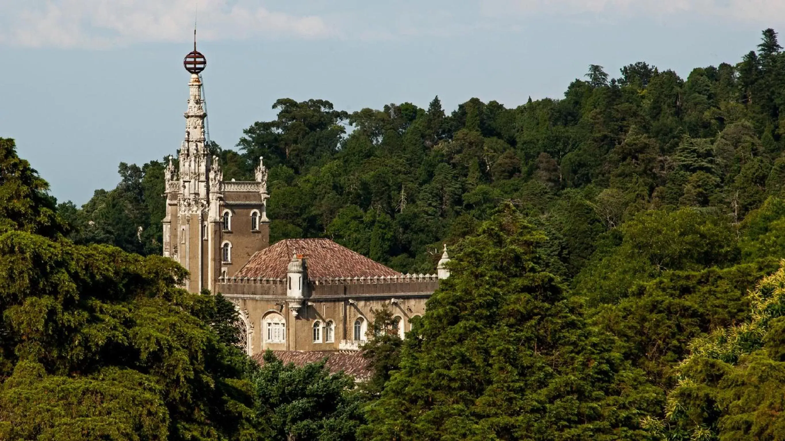 Natural landscape in Palace Hotel do Bussaco