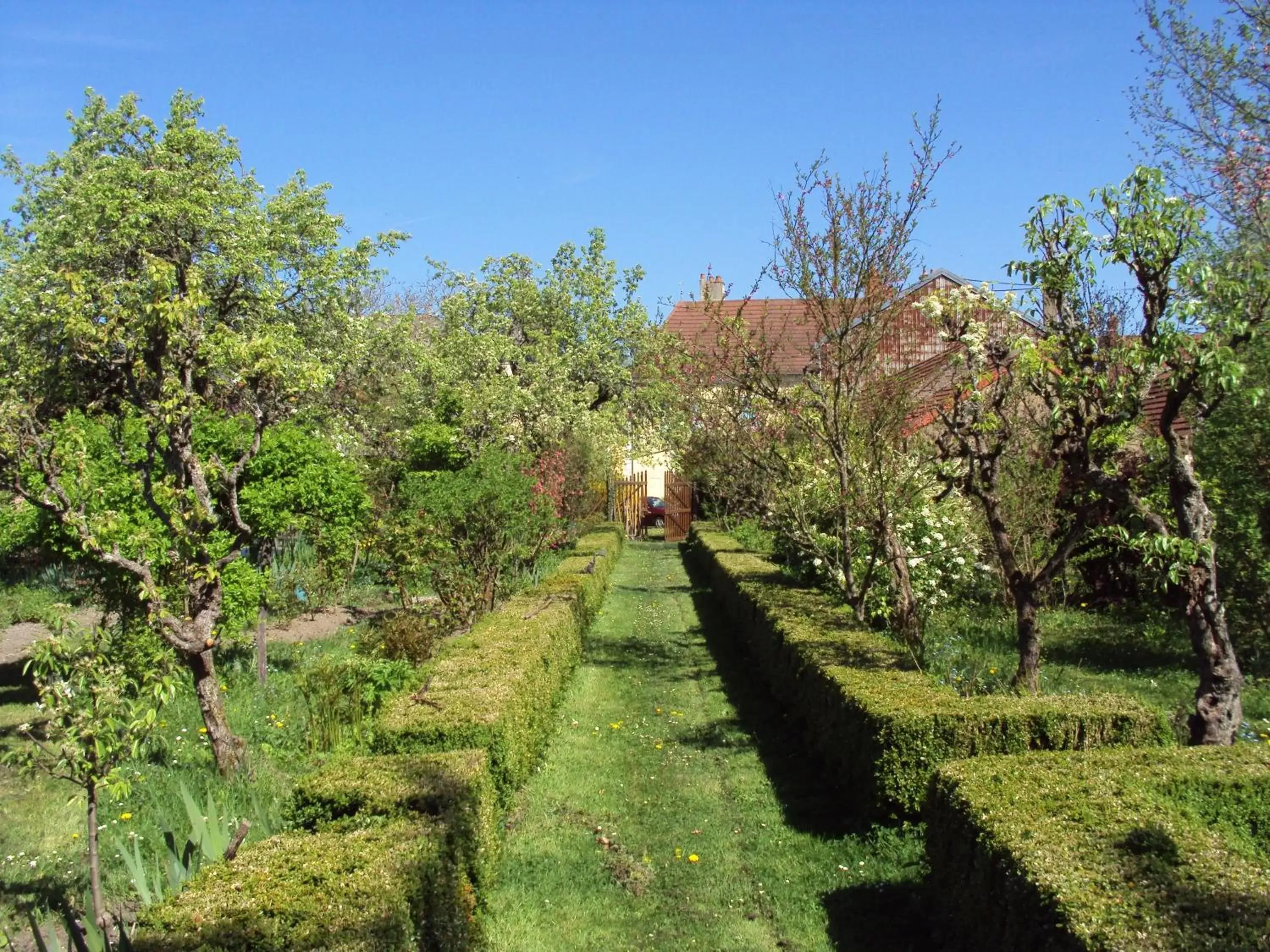 Garden in Chambres d'hôtes La Distillerie B&B