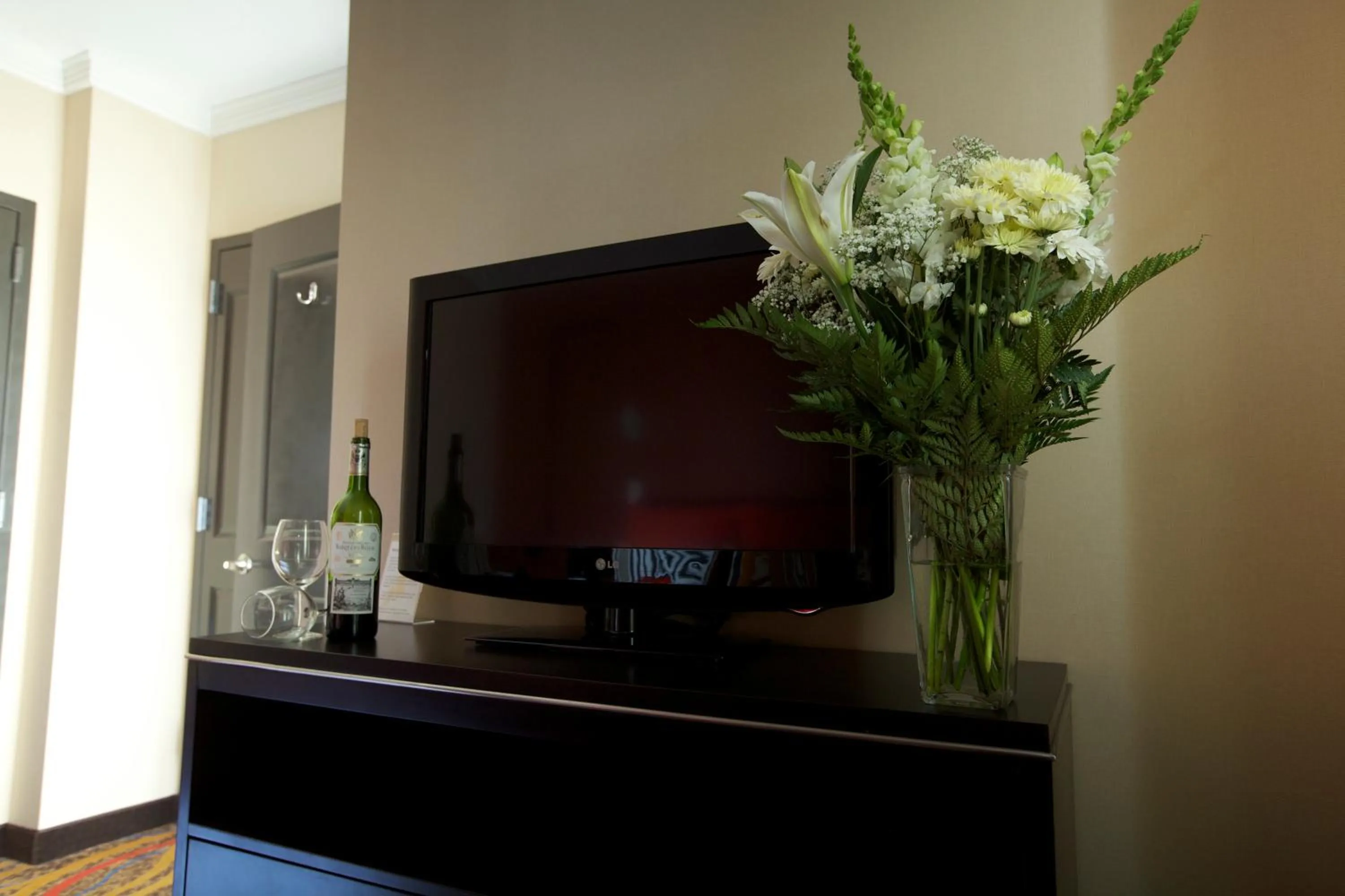 TV and multimedia in Nesva Hotel - New York City Vista