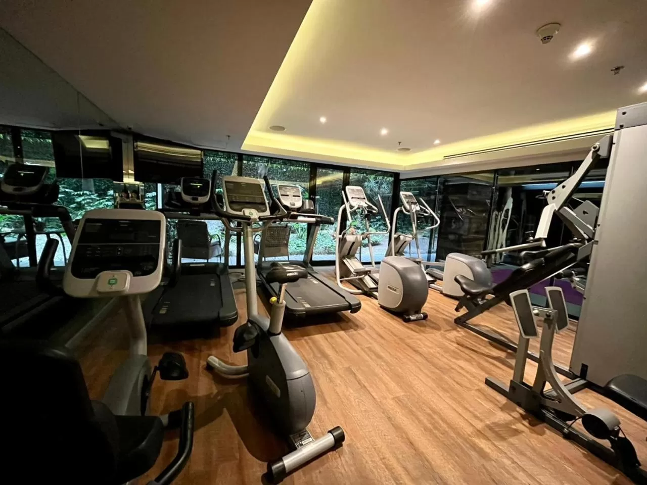 Fitness centre/facilities in Las Suites Campos Eliseos