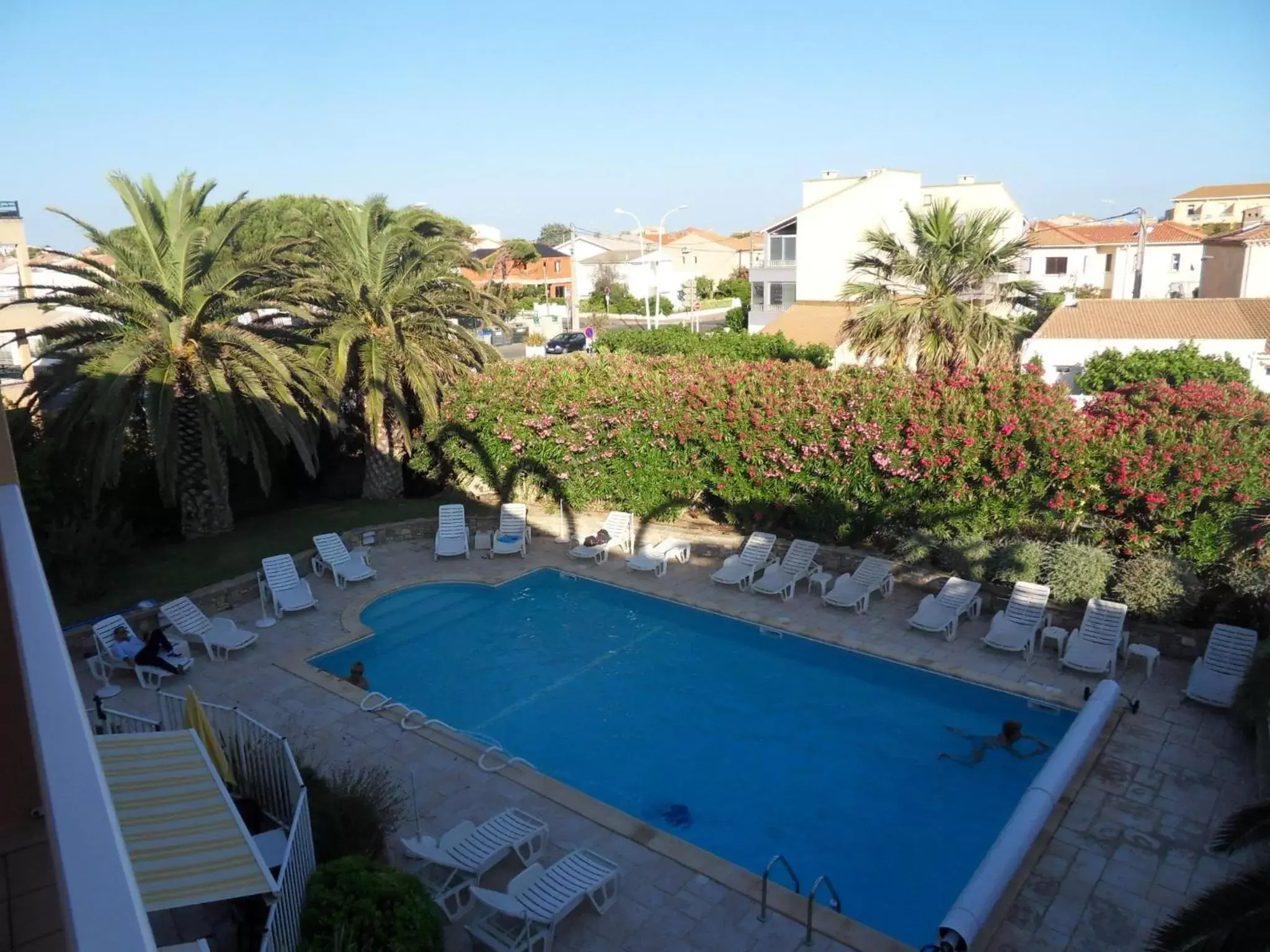 Pool View in Hotel Albizzia