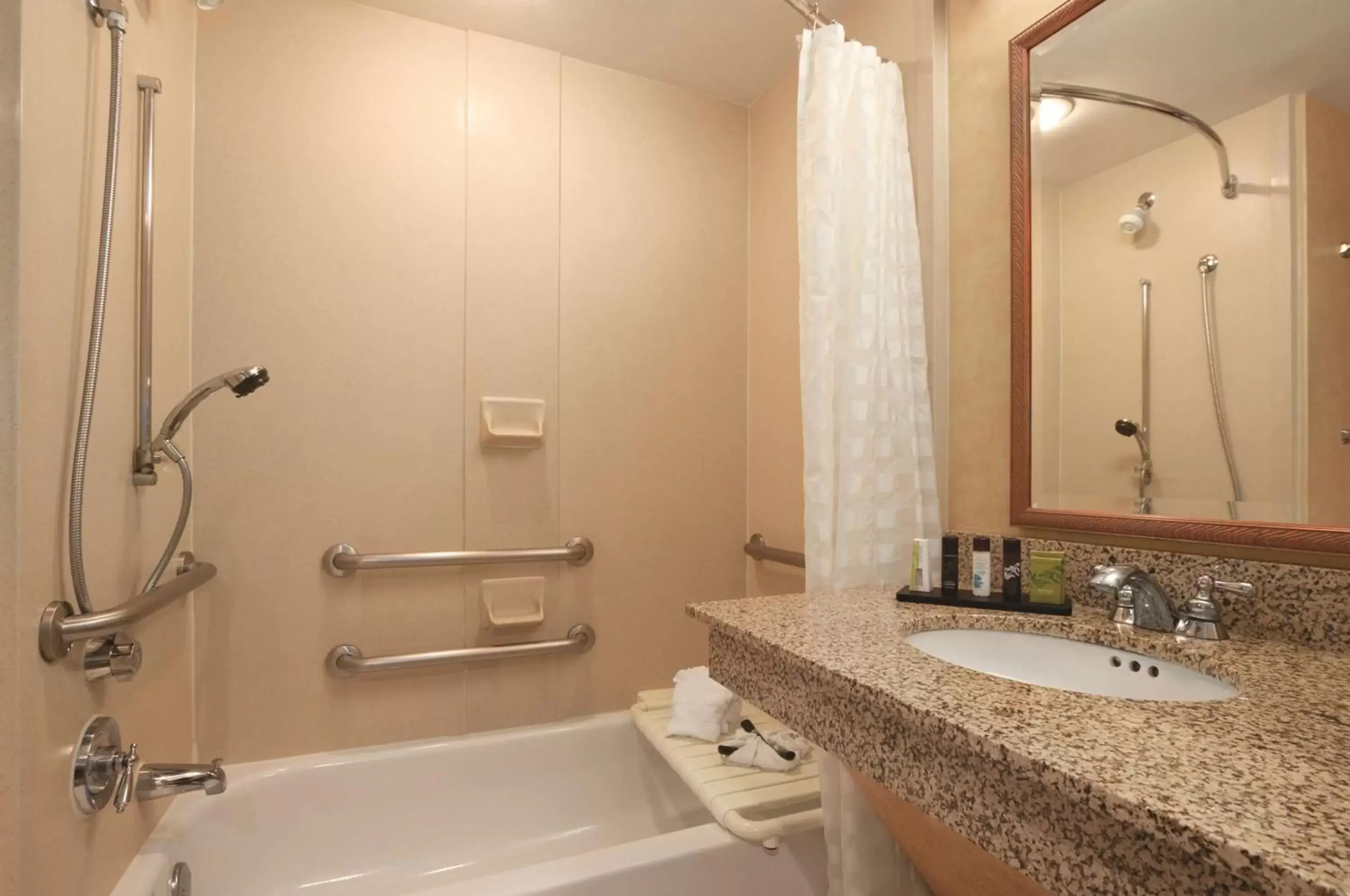 Bathroom in Embassy Suites by Hilton Dallas Frisco Hotel & Convention Center