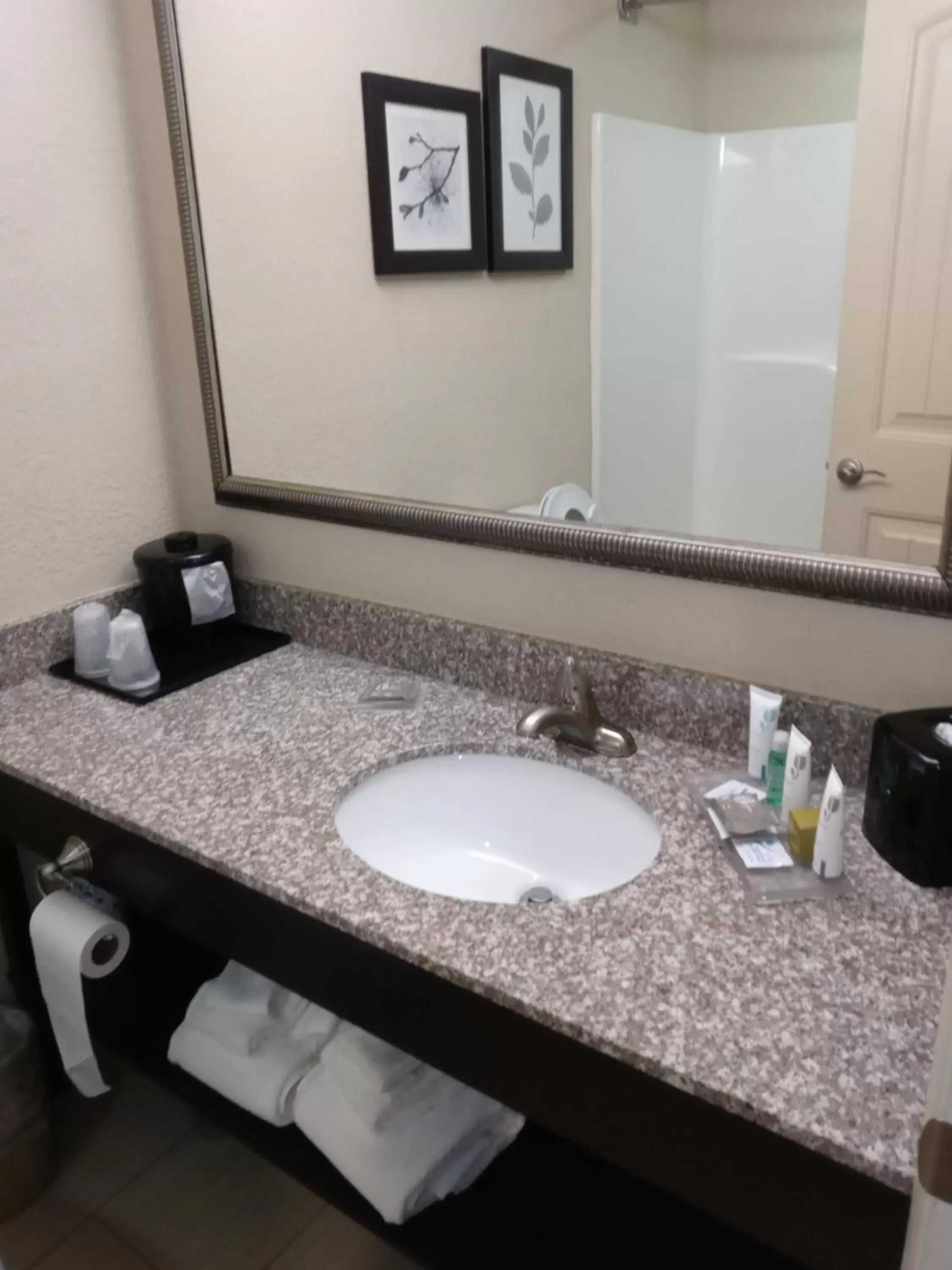 Bathroom in Spring Lake Inn & Suites - Fayetteville