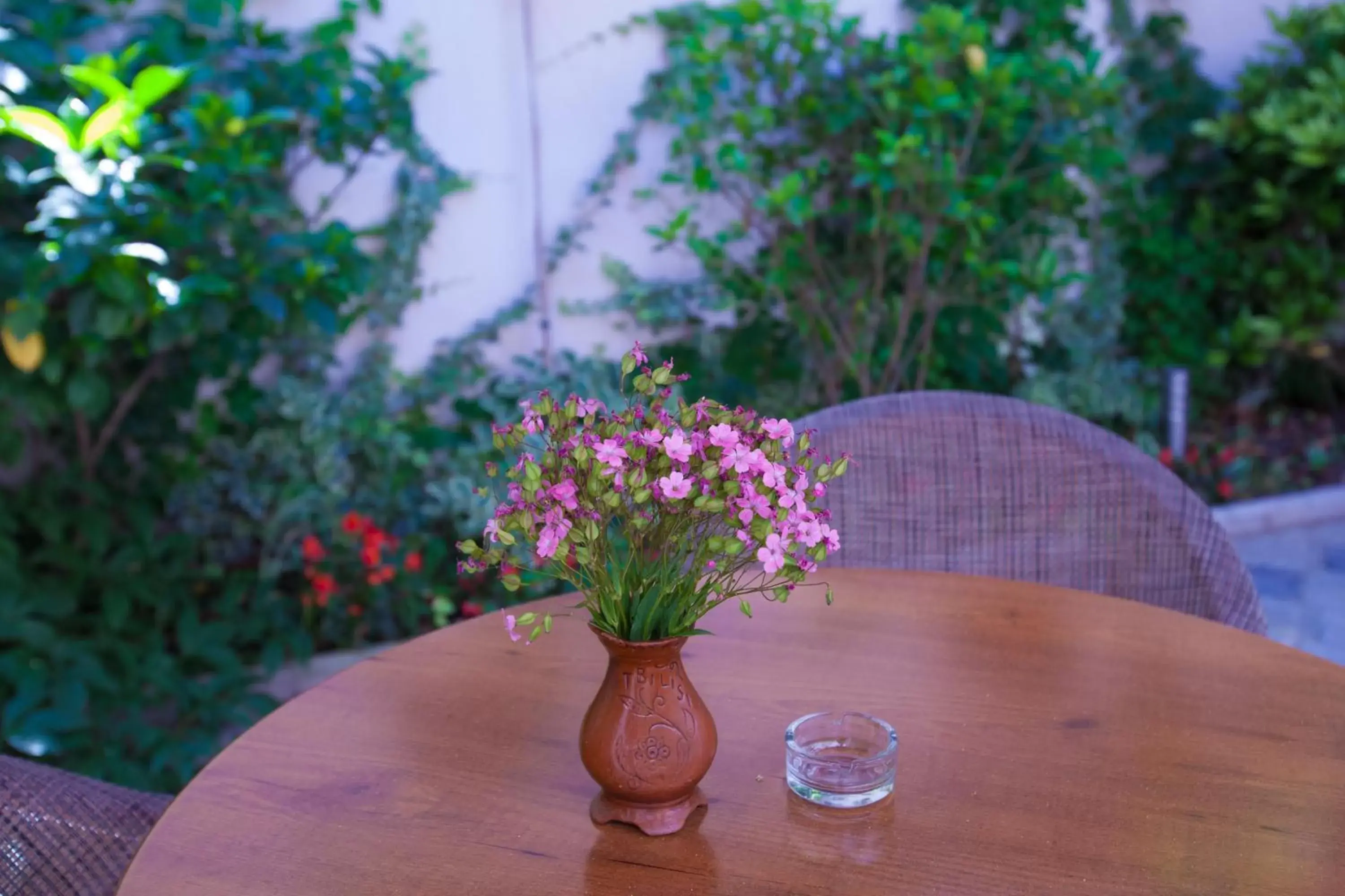 Garden in Rustaveli Palace