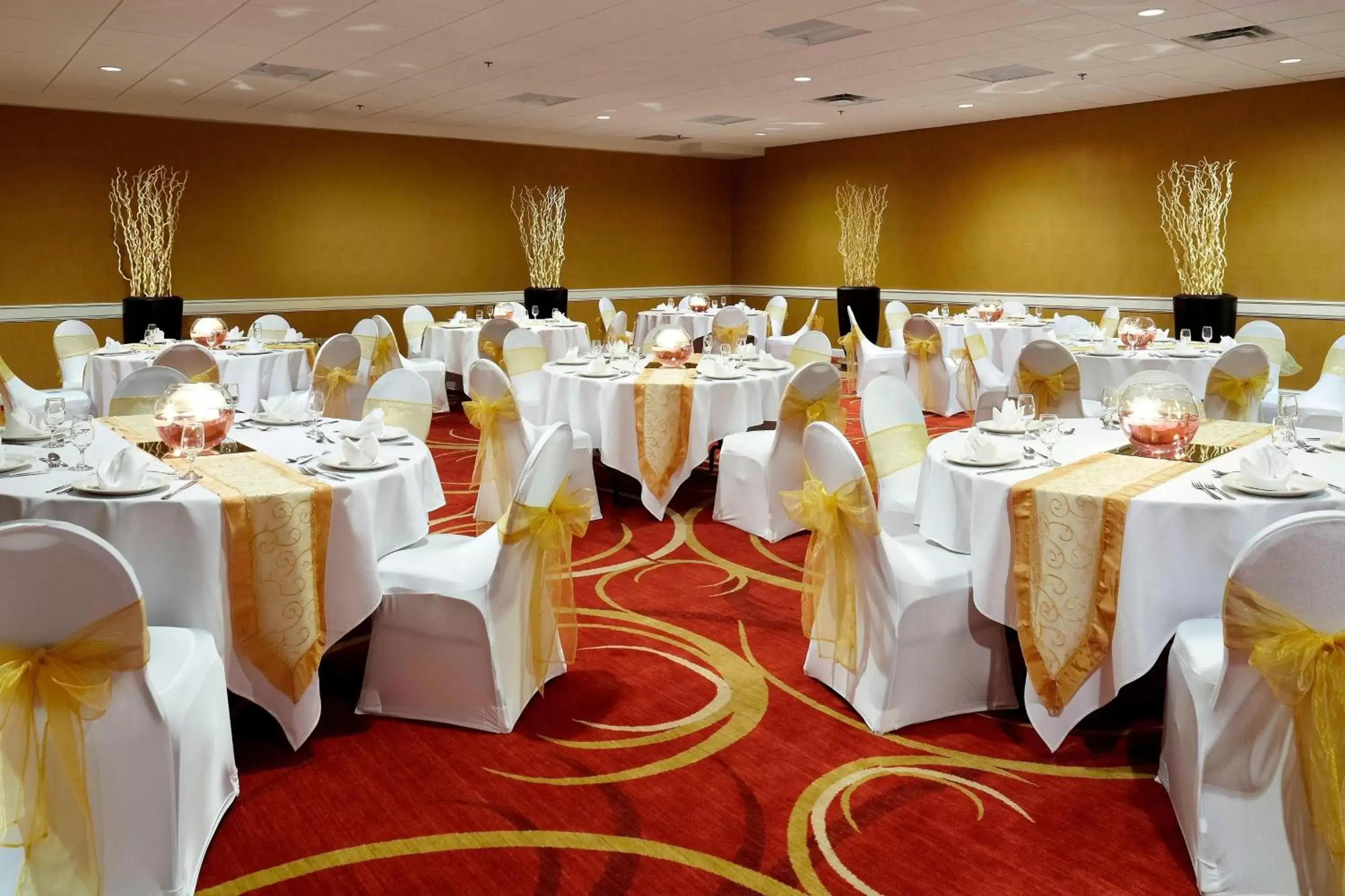 Meeting/conference room, Banquet Facilities in Courtyard by Marriott Ottawa Downtown