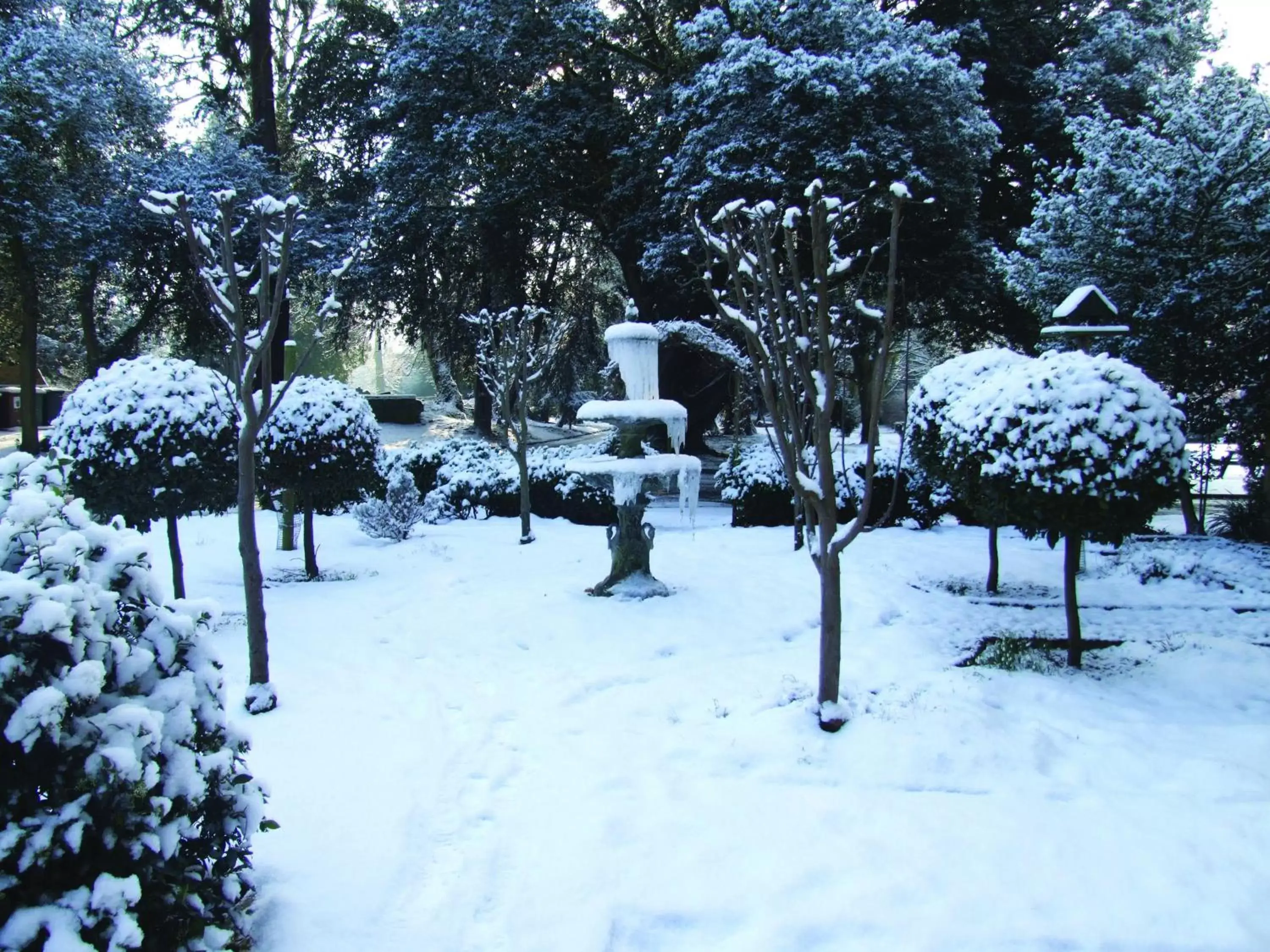 Garden, Winter in Orton Hall Hotel & Spa