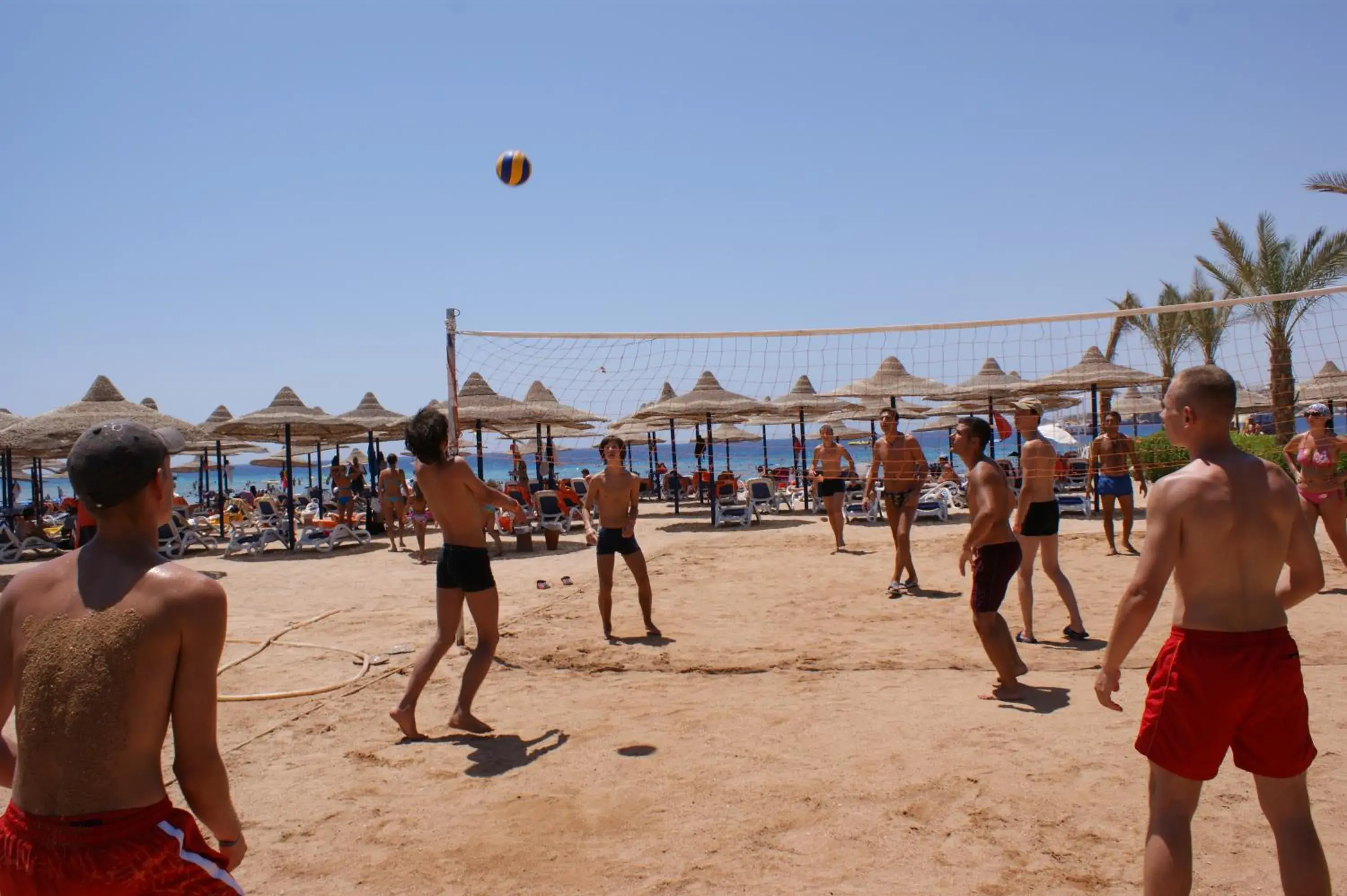 Beach, Other Activities in Gafy Resort Aqua Park