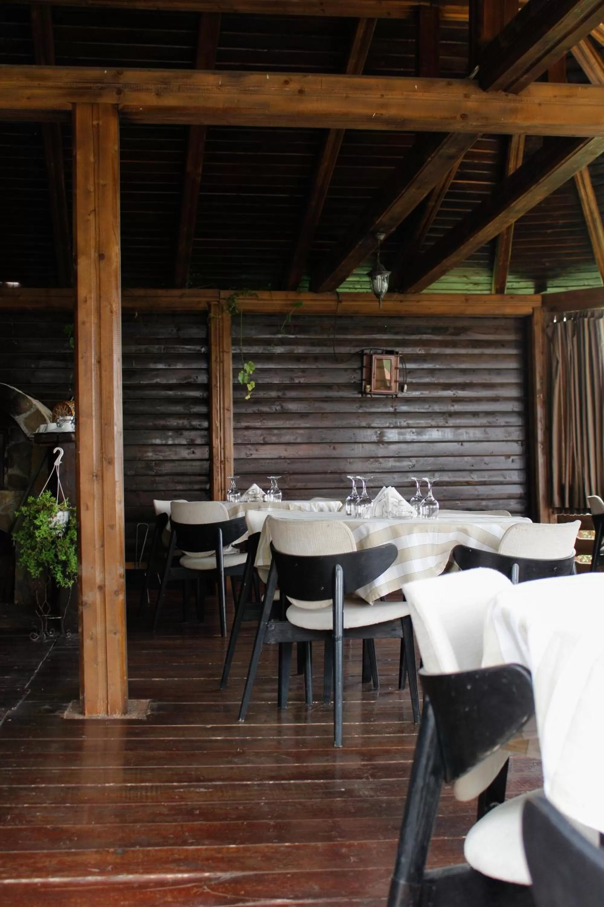 Restaurant/places to eat in Pensiunea Taverna Bucium