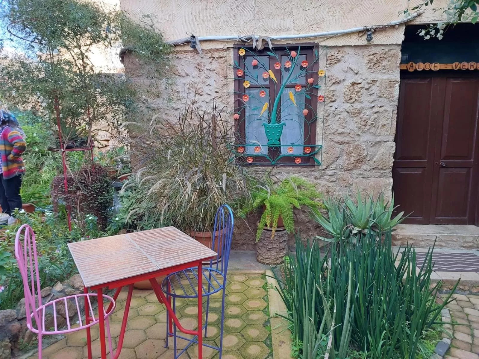 Garden view in Mystery Garden Guest House