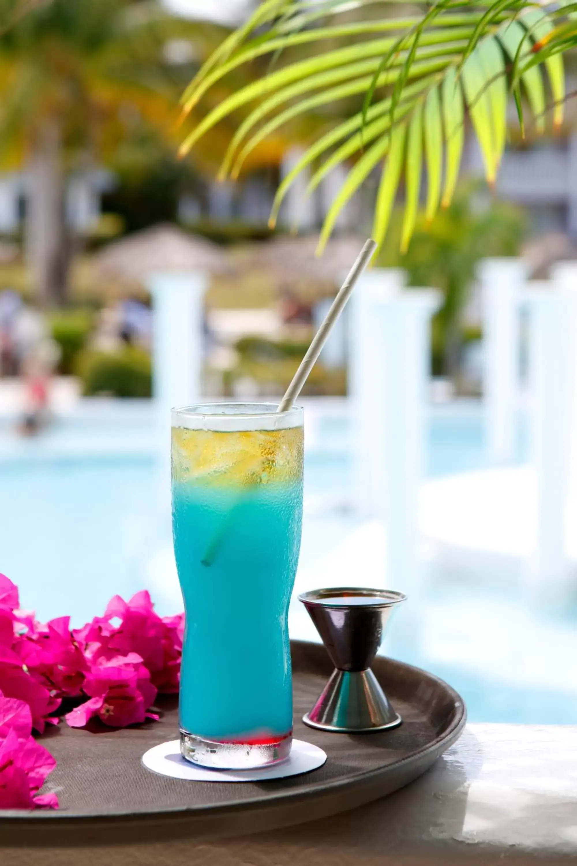 Drinks in Grand Palladium Jamaica Resort & Spa All Inclusive