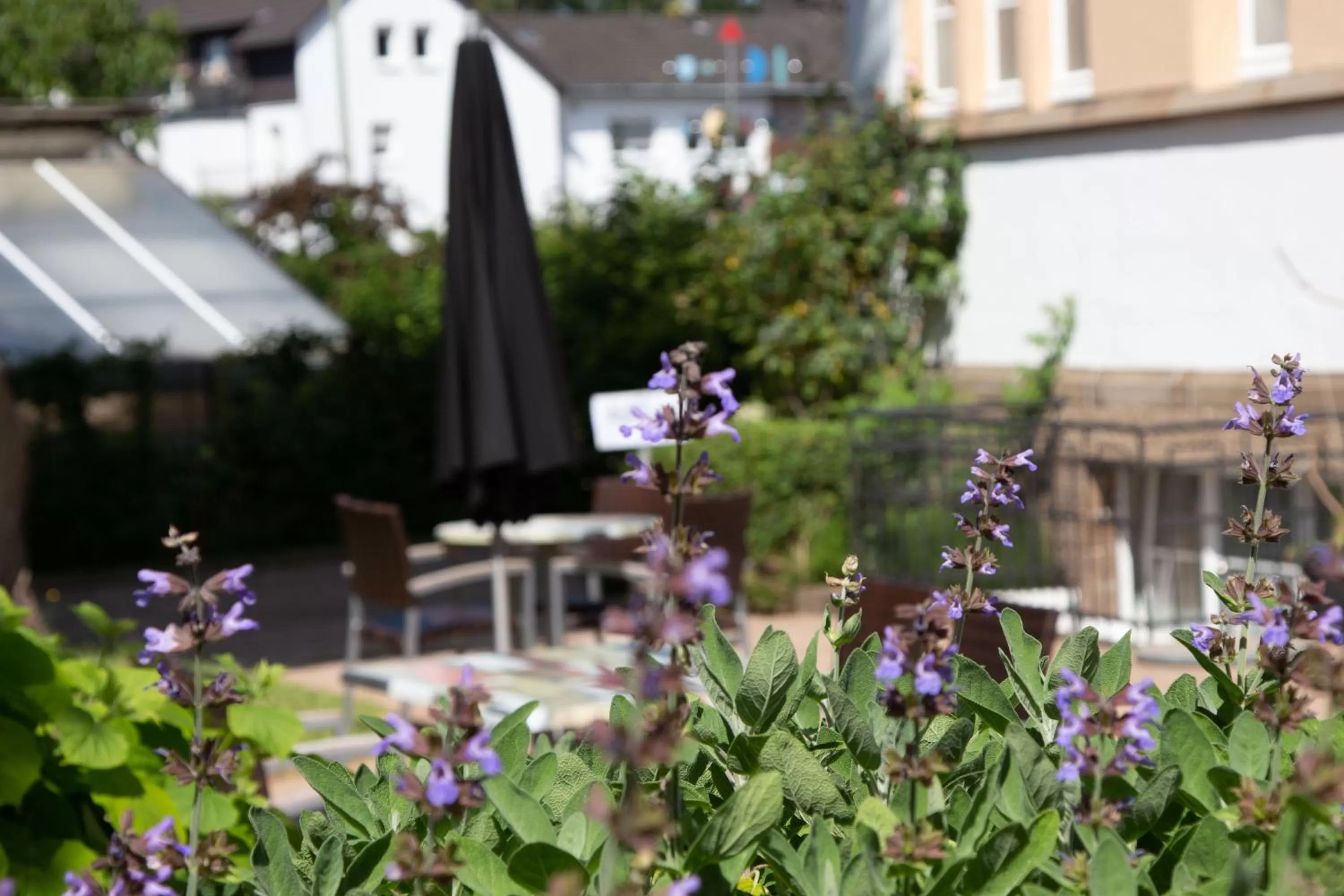 Restaurant/Places to Eat in 2T Hotel artgenossen