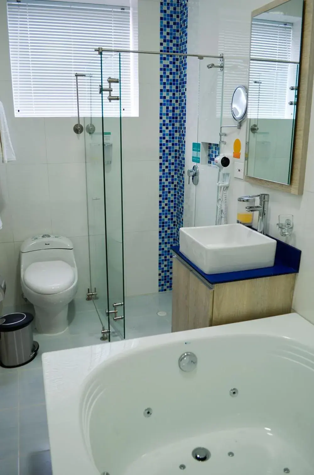 Shower, Bathroom in Sixtina Plaza Hotel