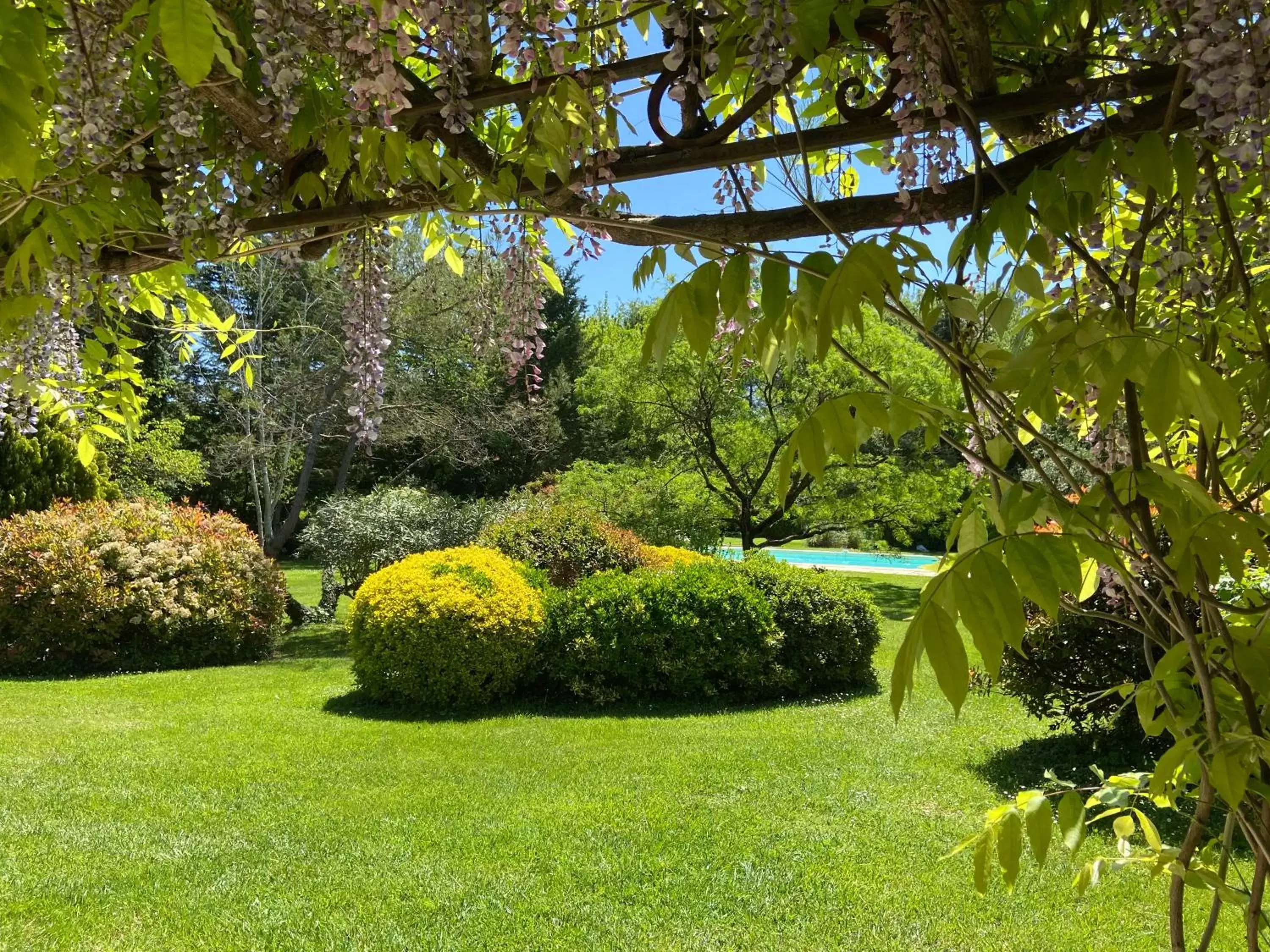 Day, Garden in Villa de Miha