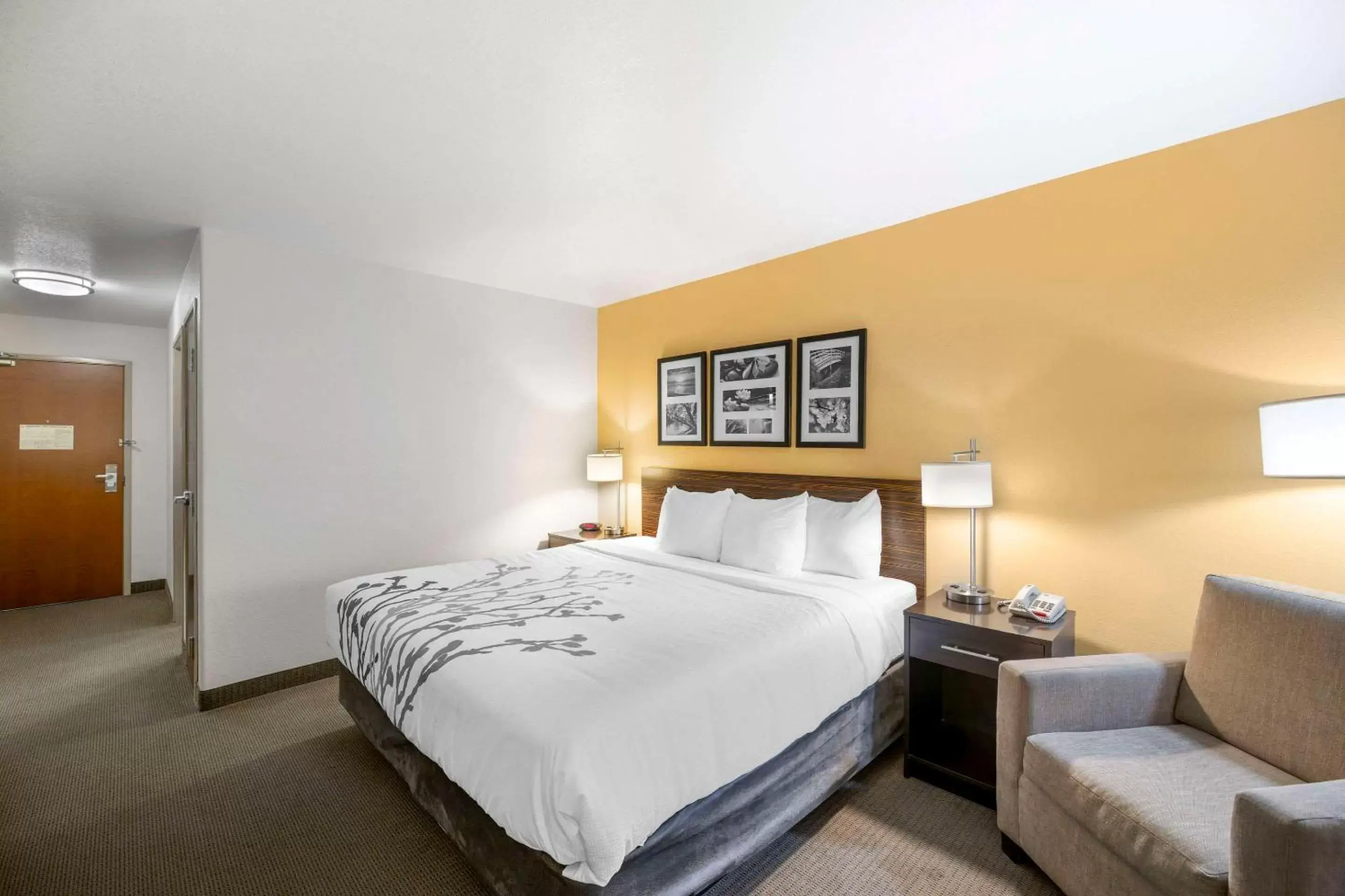 Bedroom, Bed in Sleep Inn & Suites Carlsbad Caverns Area
