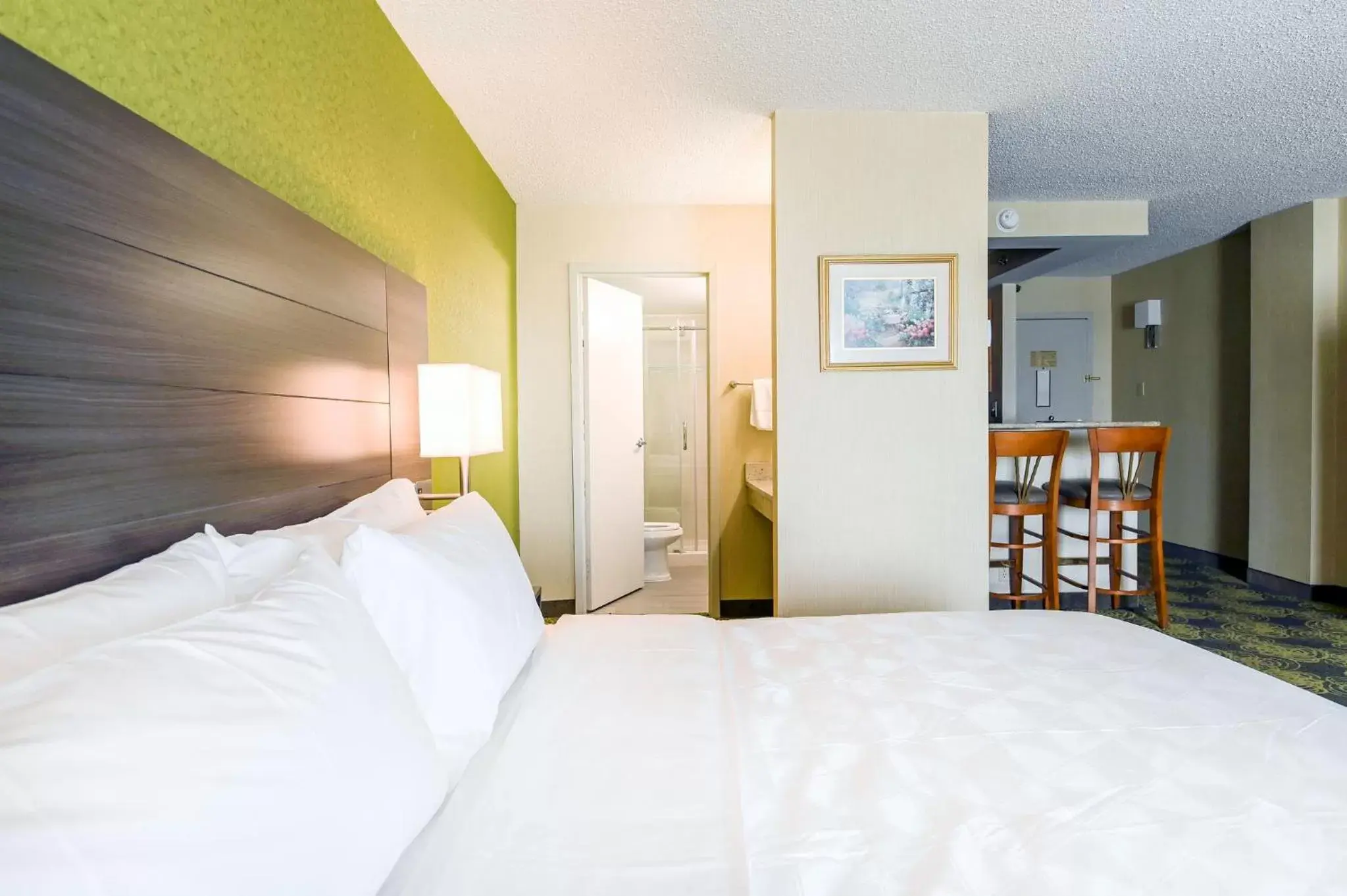 Bedroom, Bed in Holiday Inn University Area Charlottesville, an IHG Hotel