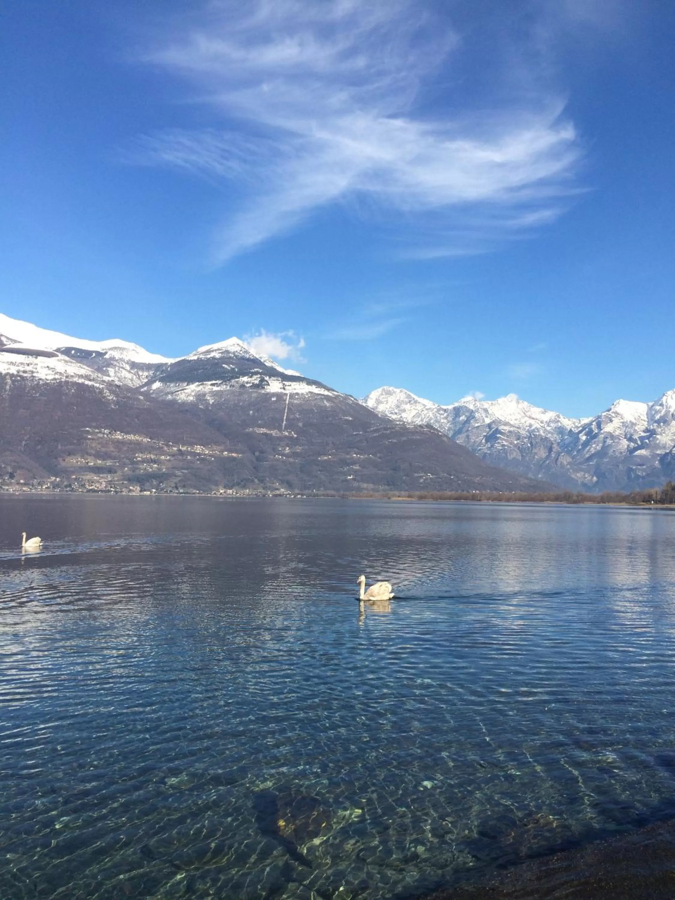 Fishing in Hotel Risi