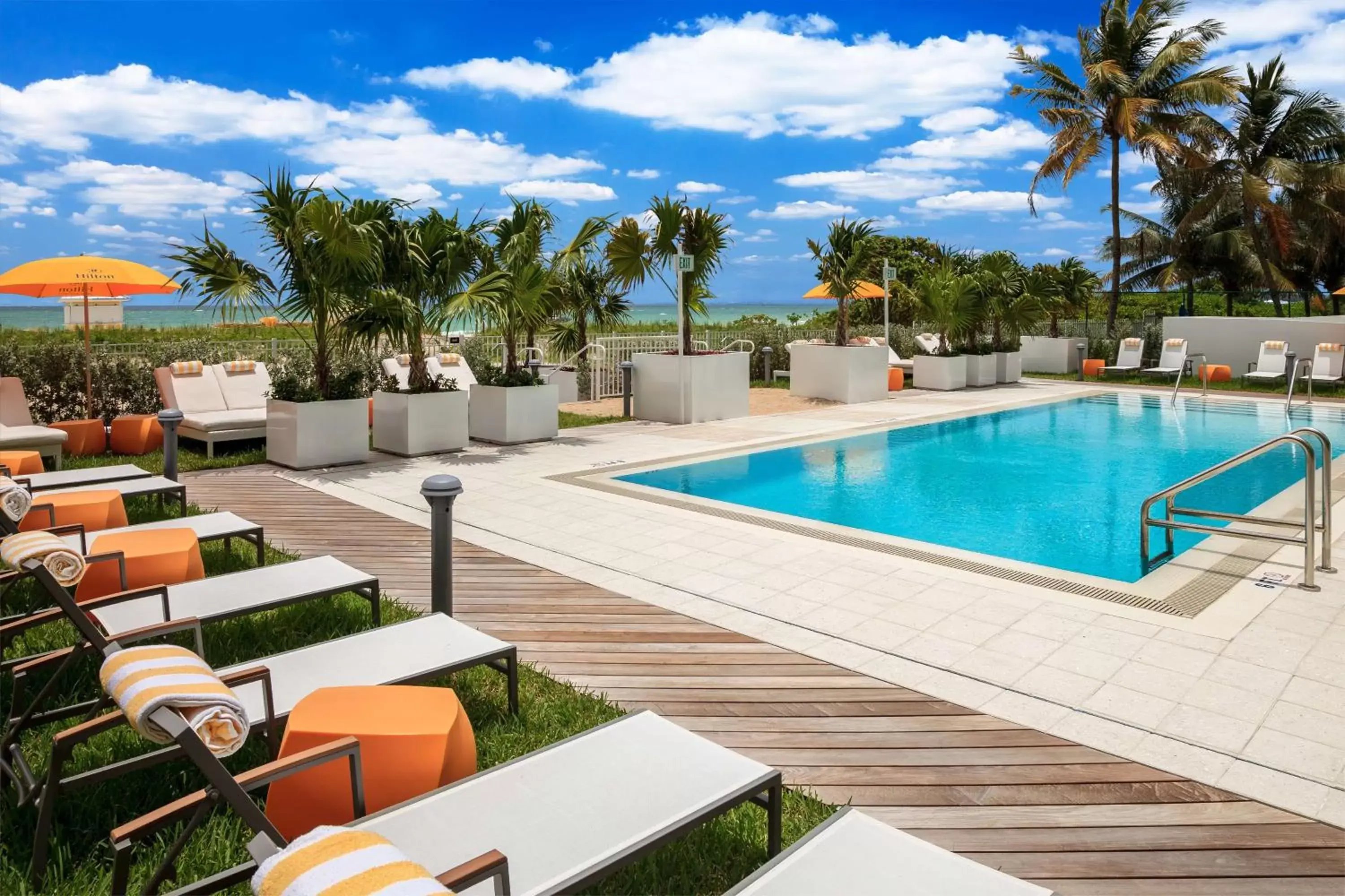 Pool view, Swimming Pool in Hilton Cabana Miami Beach
