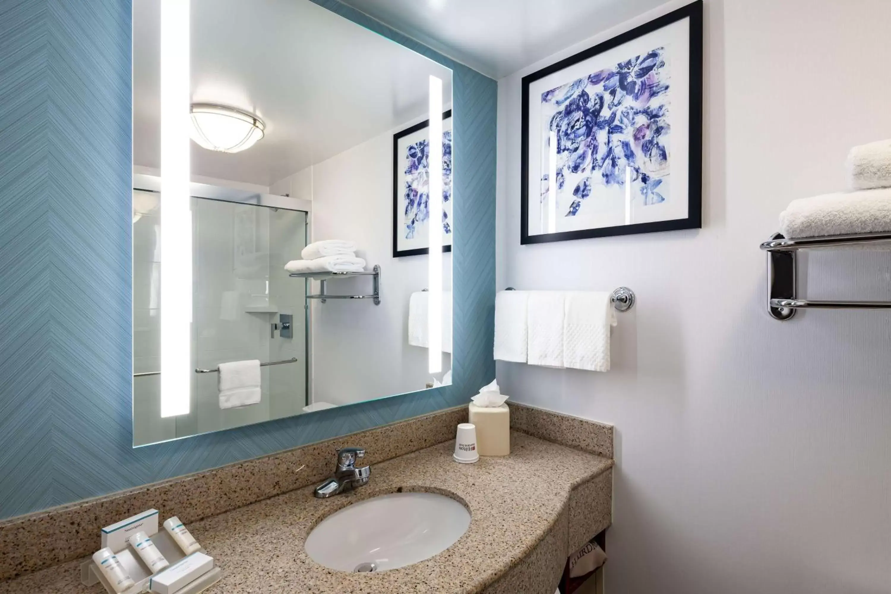 Bathroom in Hilton Garden Inn Chicago O'Hare Airport Bathroom in Hilton Garden Inn Chicago O'Hare Airport