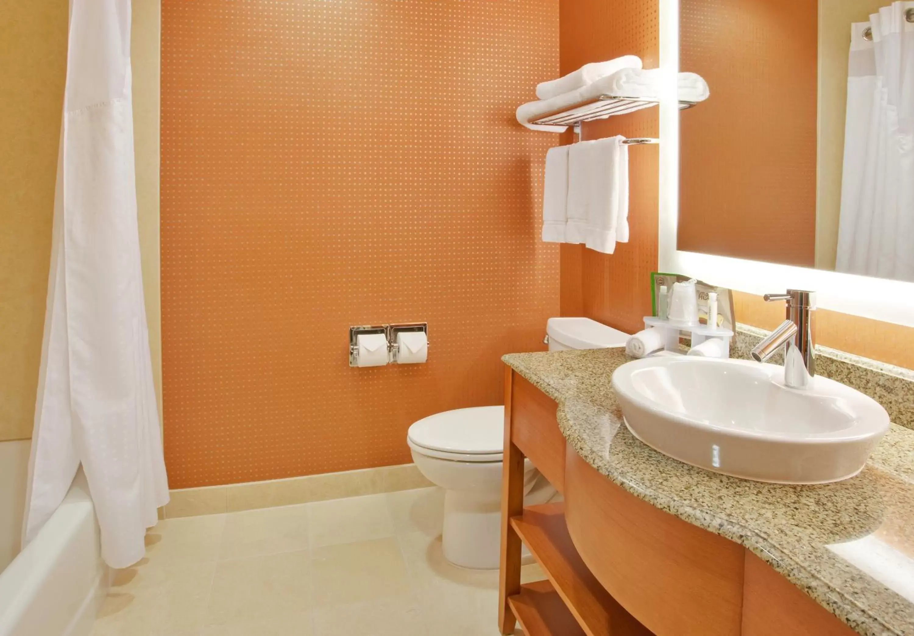 Bathroom in Holiday Inn Express Hotel & Suites Santa Cruz, an IHG Hotel