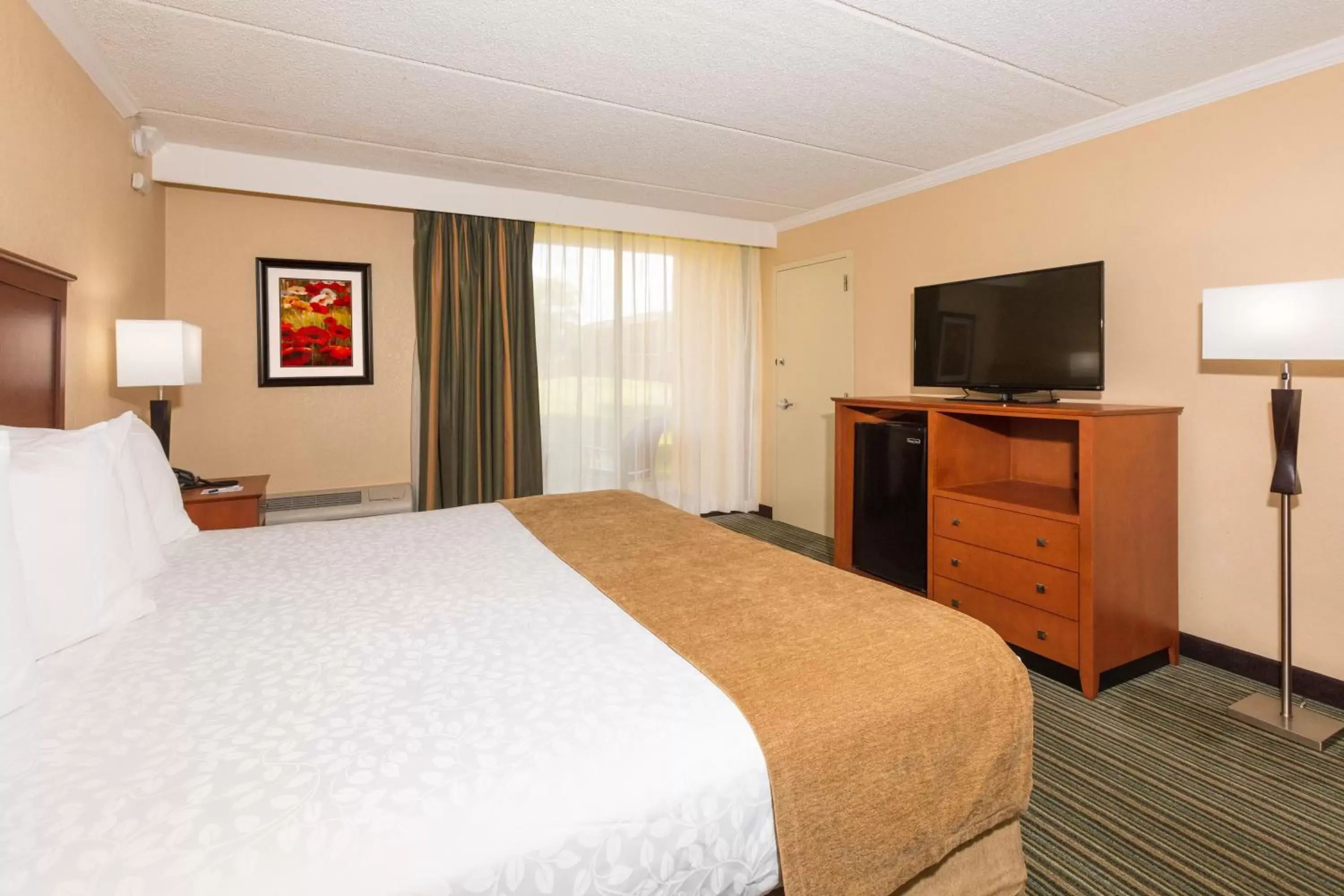 Photo of the whole room, Bed in Best Western International Speedway Hotel