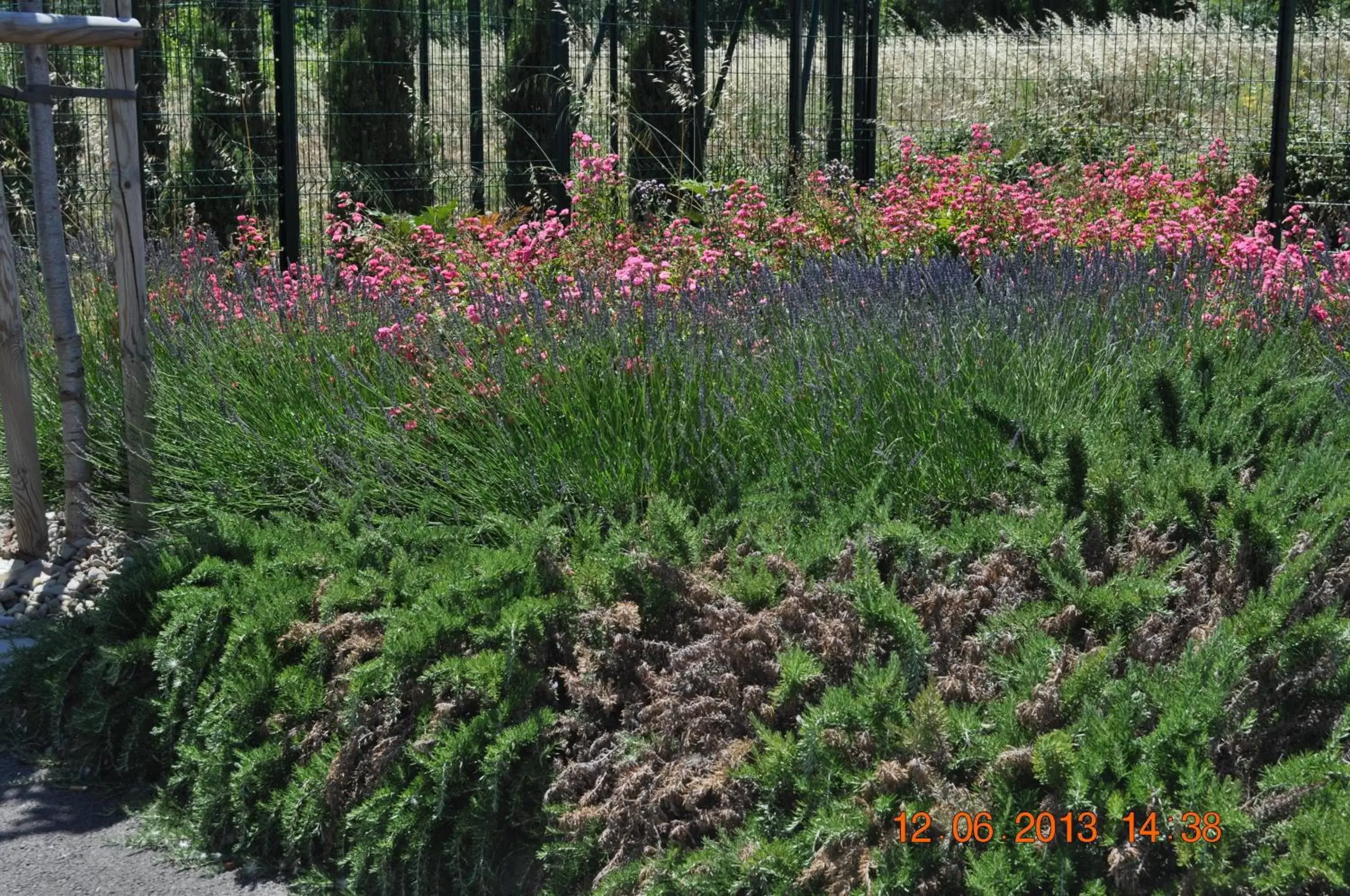 Garden in ibis Istres Trigance