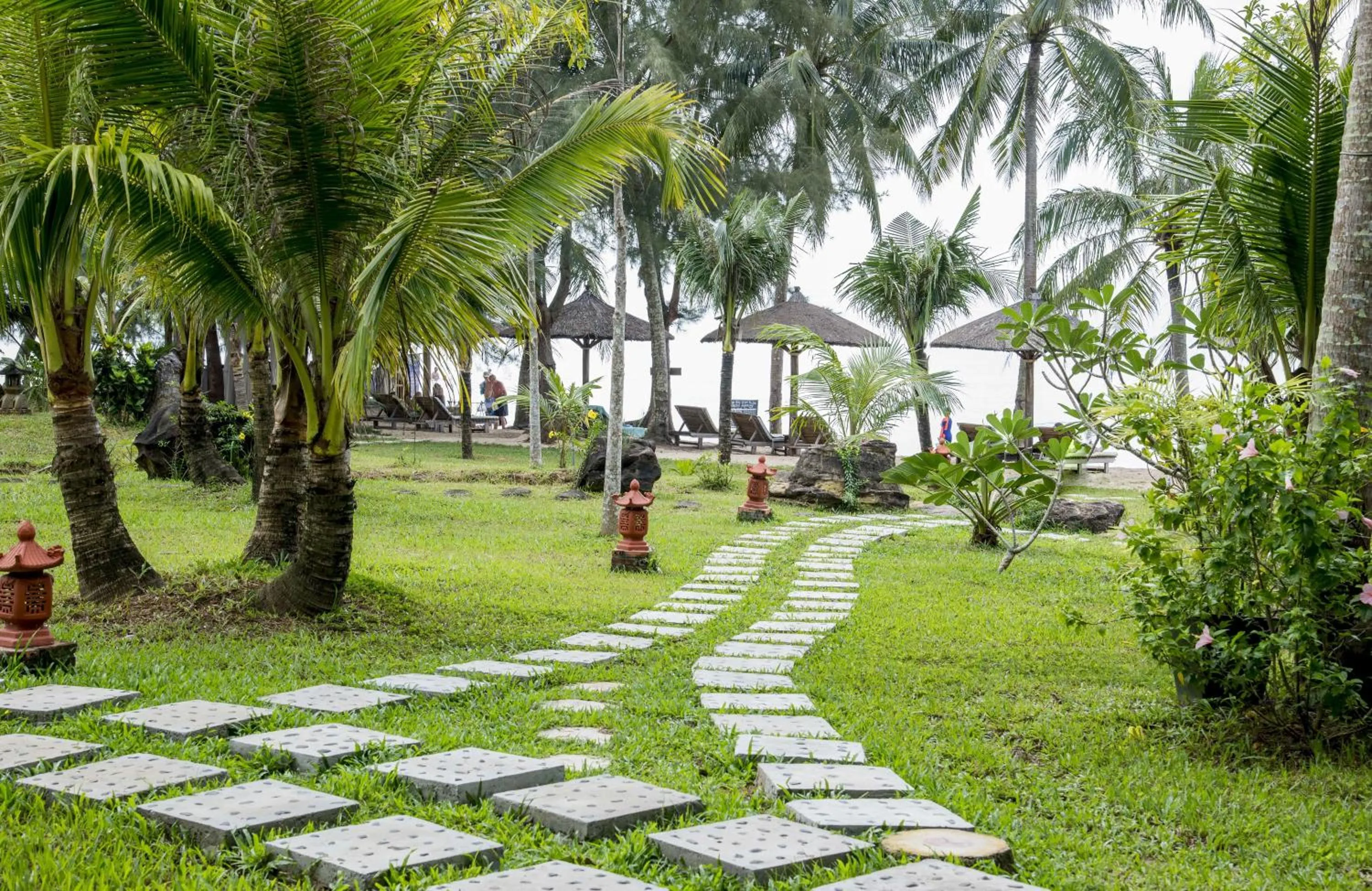 Natural landscape in Coco Palm Beach Resort