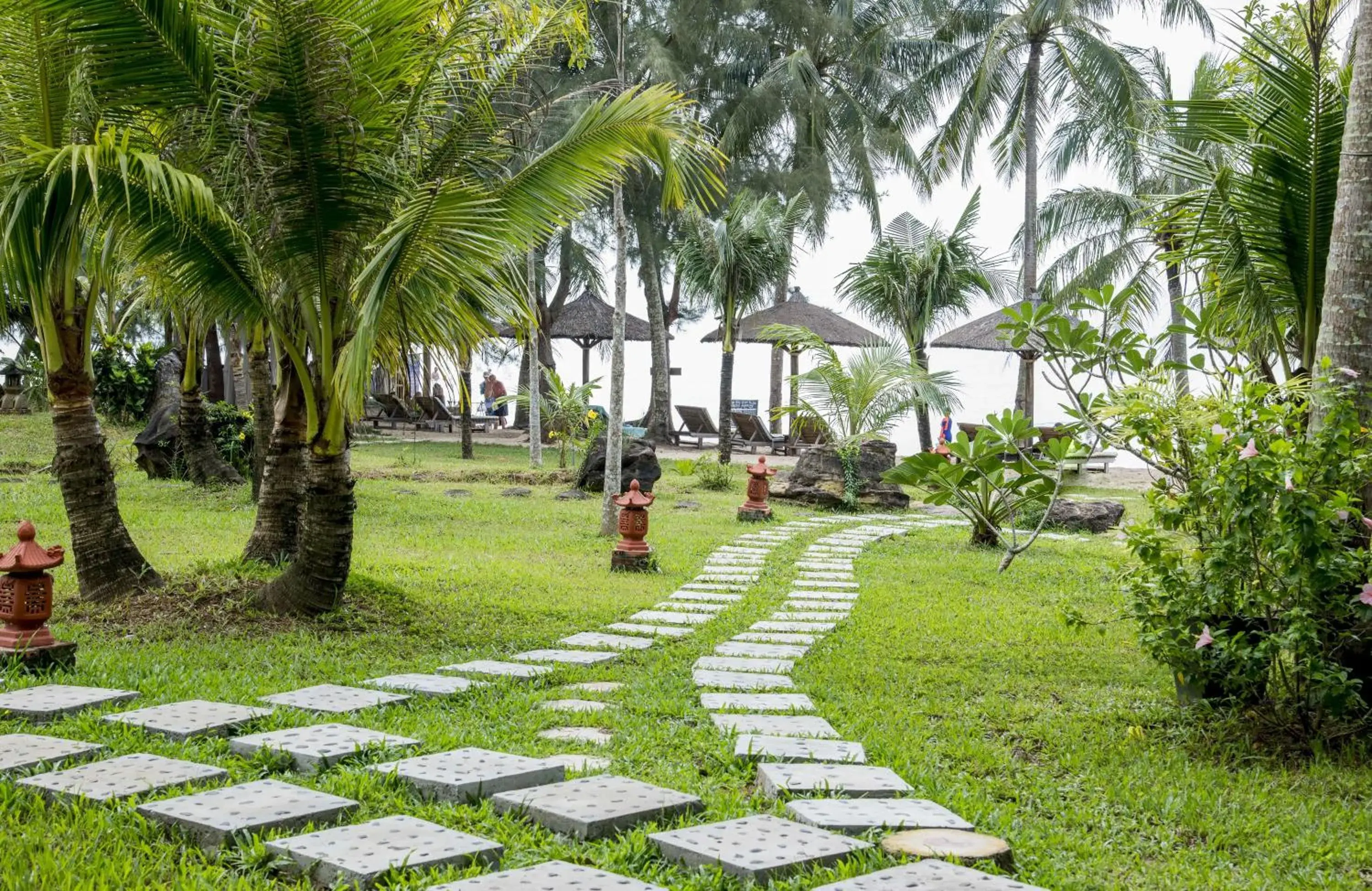 Natural landscape, Garden in Coco Palm Beach Resort & Spa