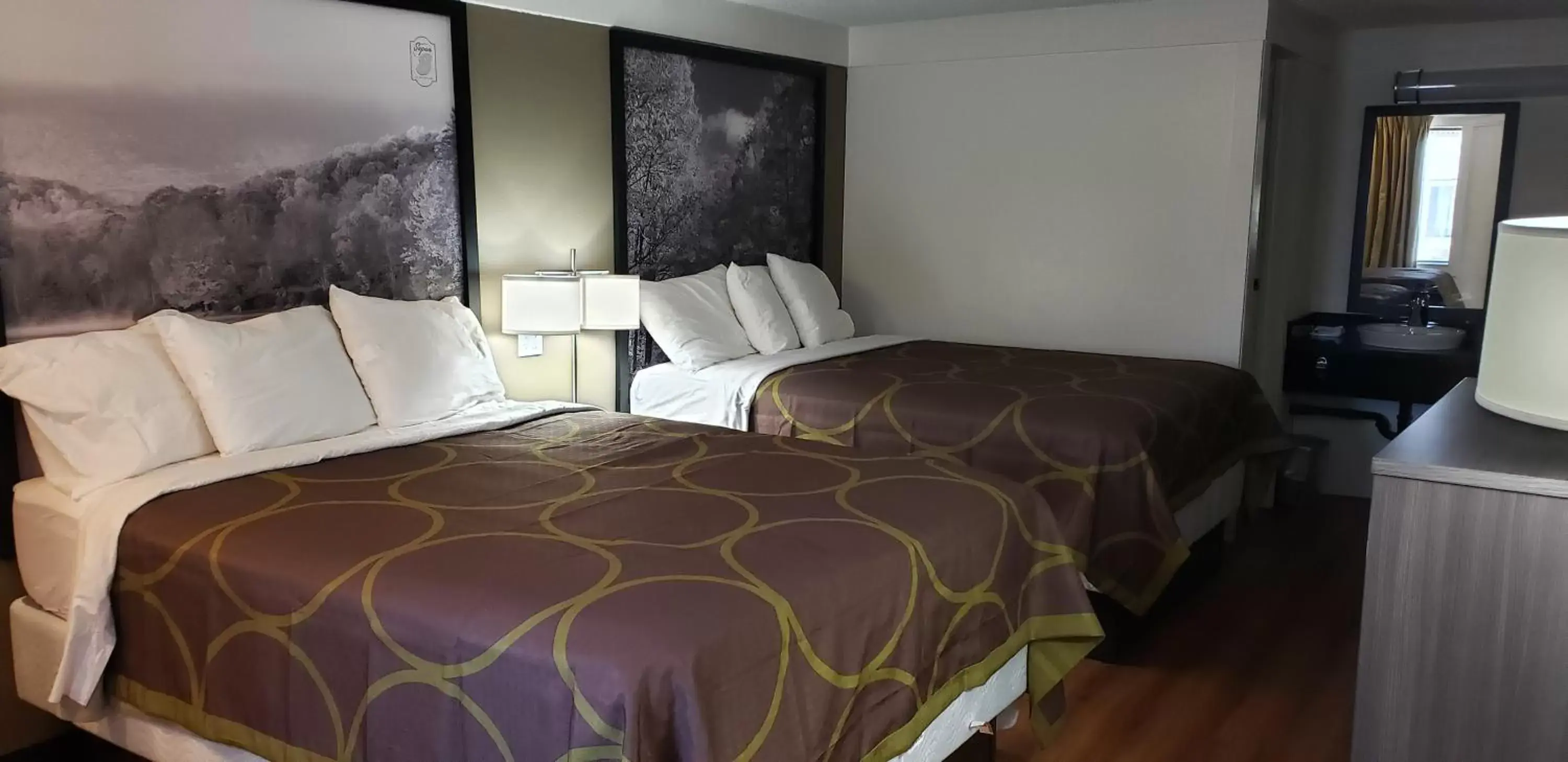 Photo of the whole room, Bed in Super 8 by Wyndham Asheville/Biltmore