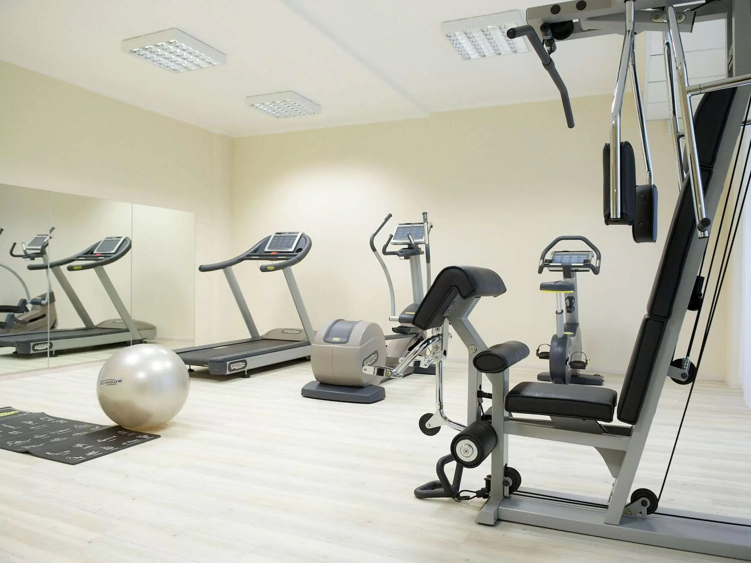 Fitness centre/facilities, Fitness Center/Facilities in Mercure Bergamo Aeroporto