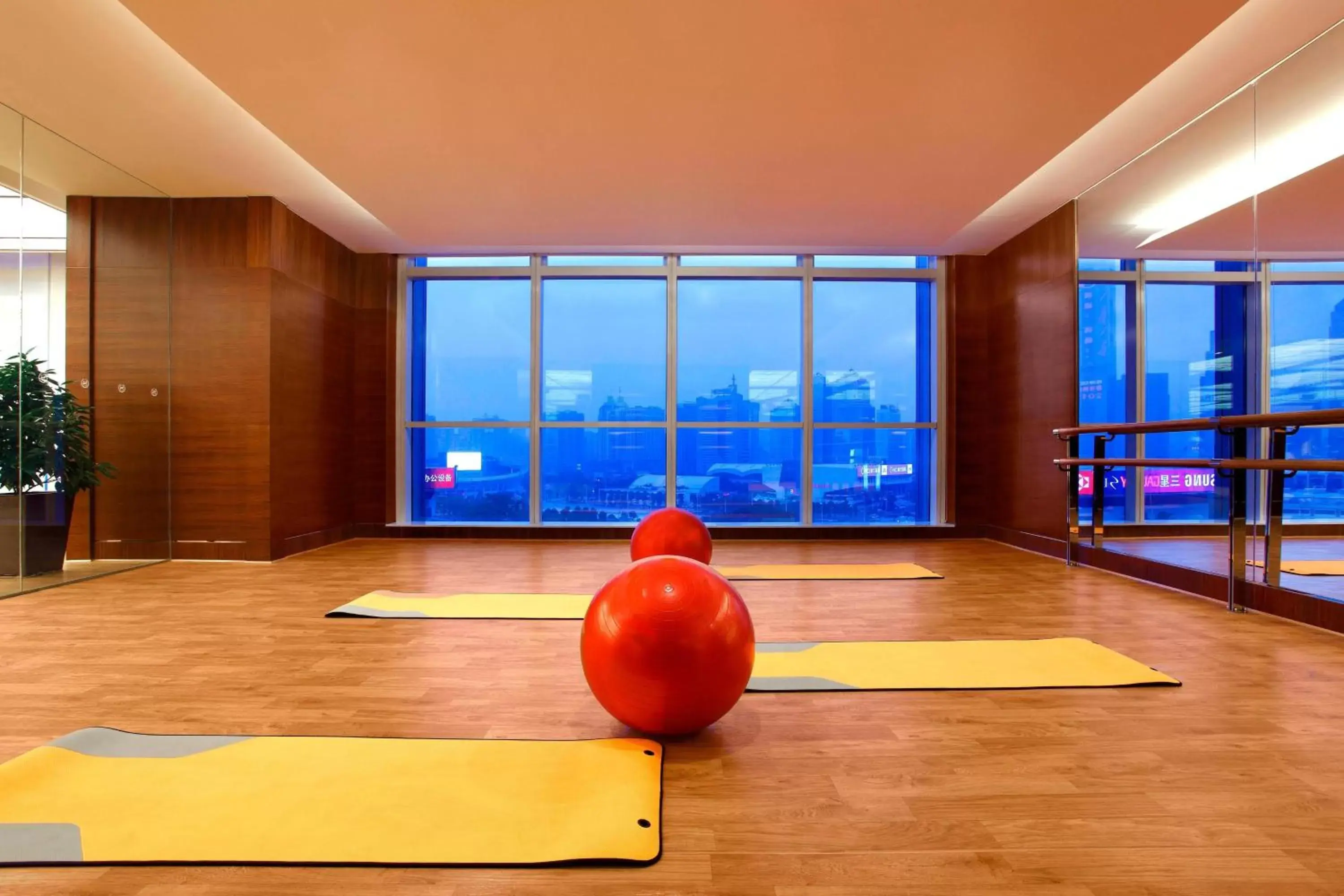 Fitness centre/facilities, Fitness Center/Facilities in Sheraton Guangzhou Hotel