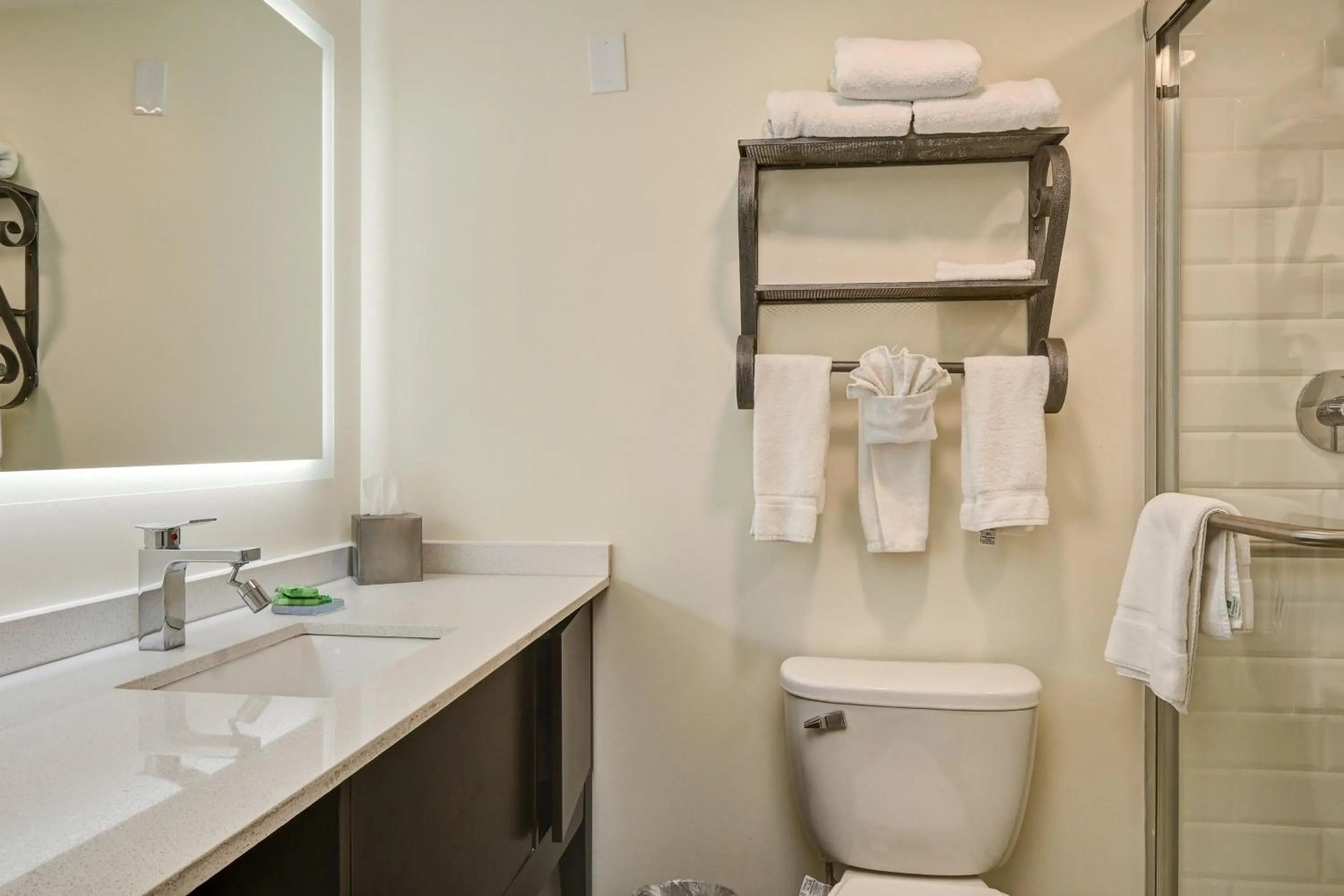Bathroom in Holiday Inn - Piscataway - Somerset by IHG