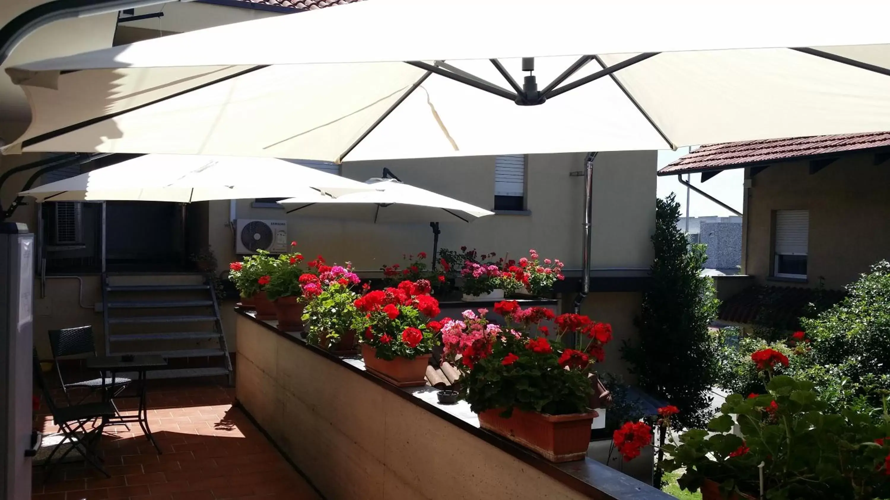 Balcony/Terrace in Flying Hotel