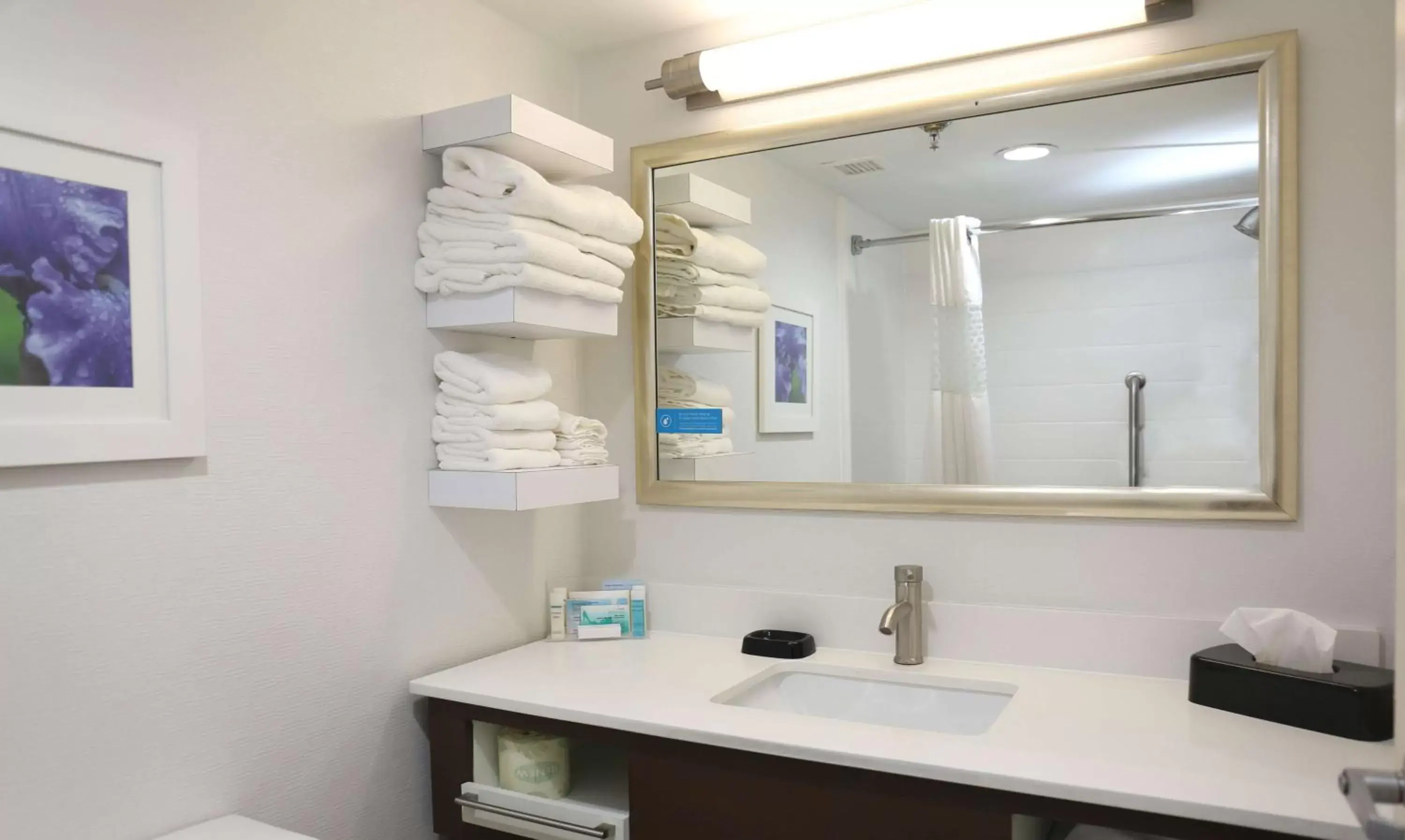 Bathroom in Hampton Inn Sumter Bathroom in Hampton Inn Sumter