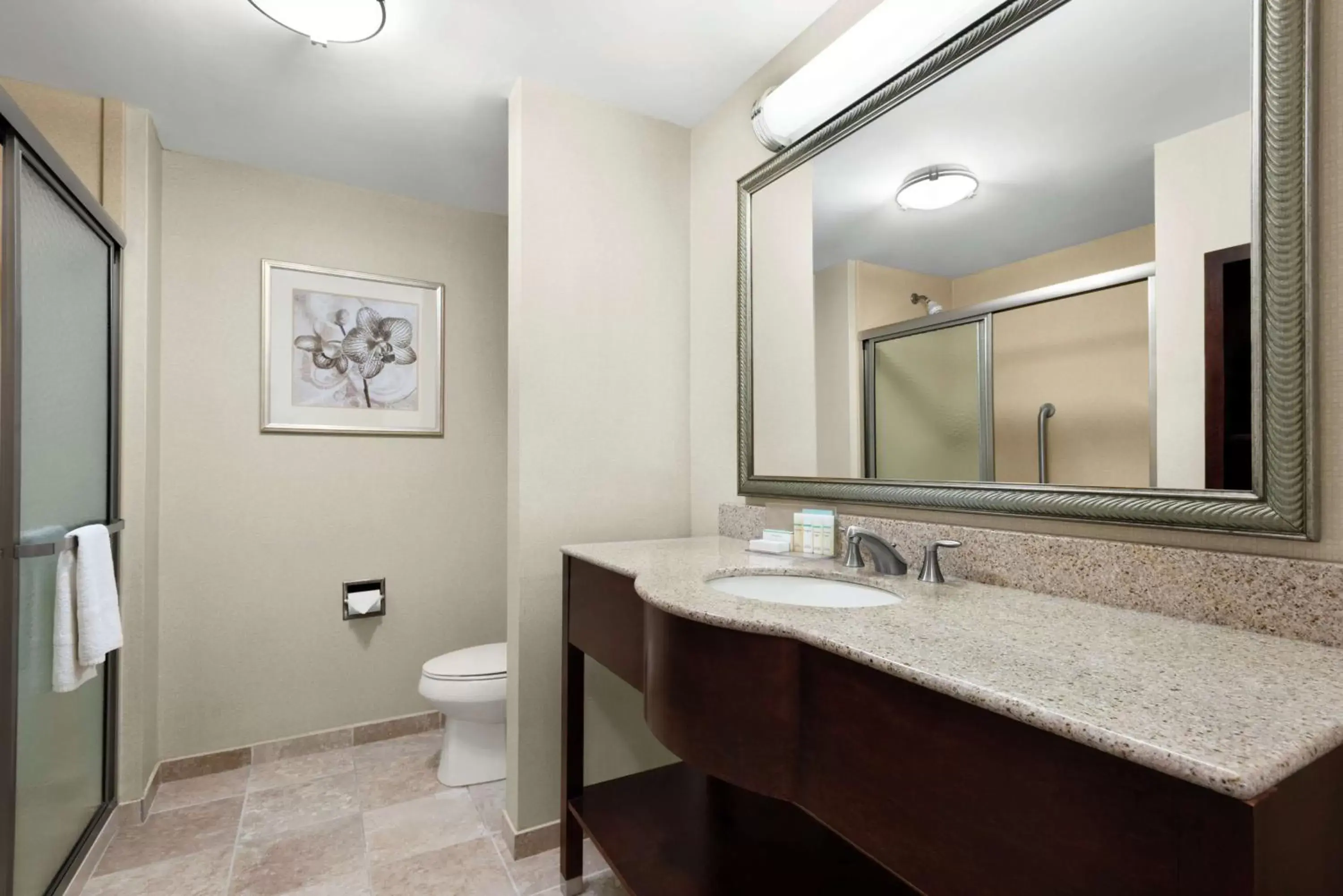 Bathroom in Hampton Inn & Suites Brunswick