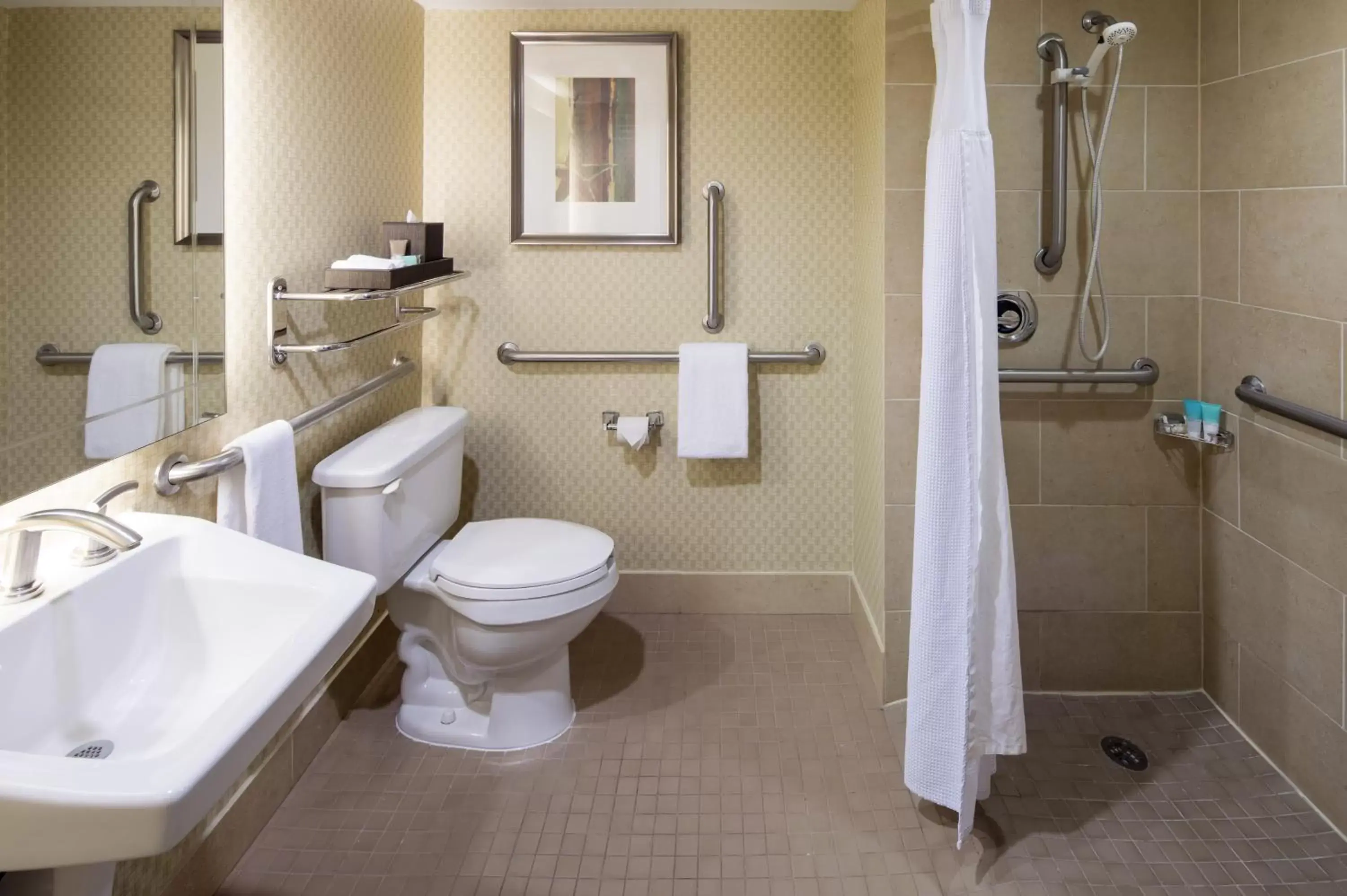 Toilet, Bathroom in Hyatt Regency Houston Intercontinental Airport