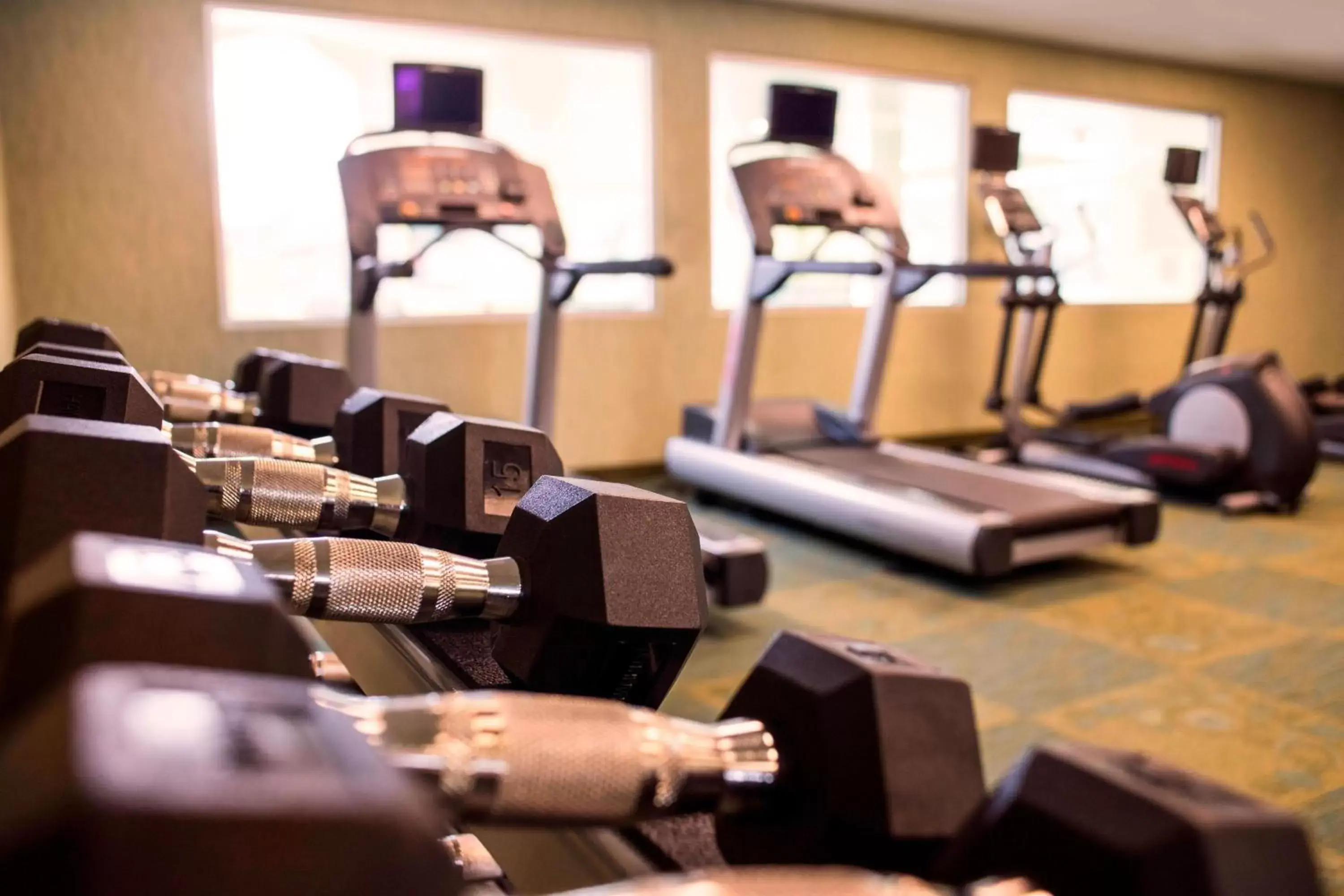 Fitness centre/facilities, Fitness Center/Facilities in SpringHill Suites by Marriott Wisconsin Dells