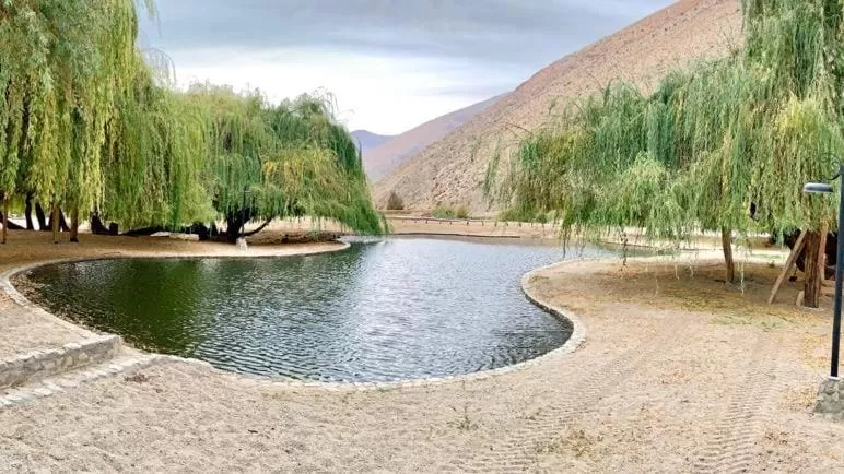 Swimming pool, Beach in Glamping Miraflores