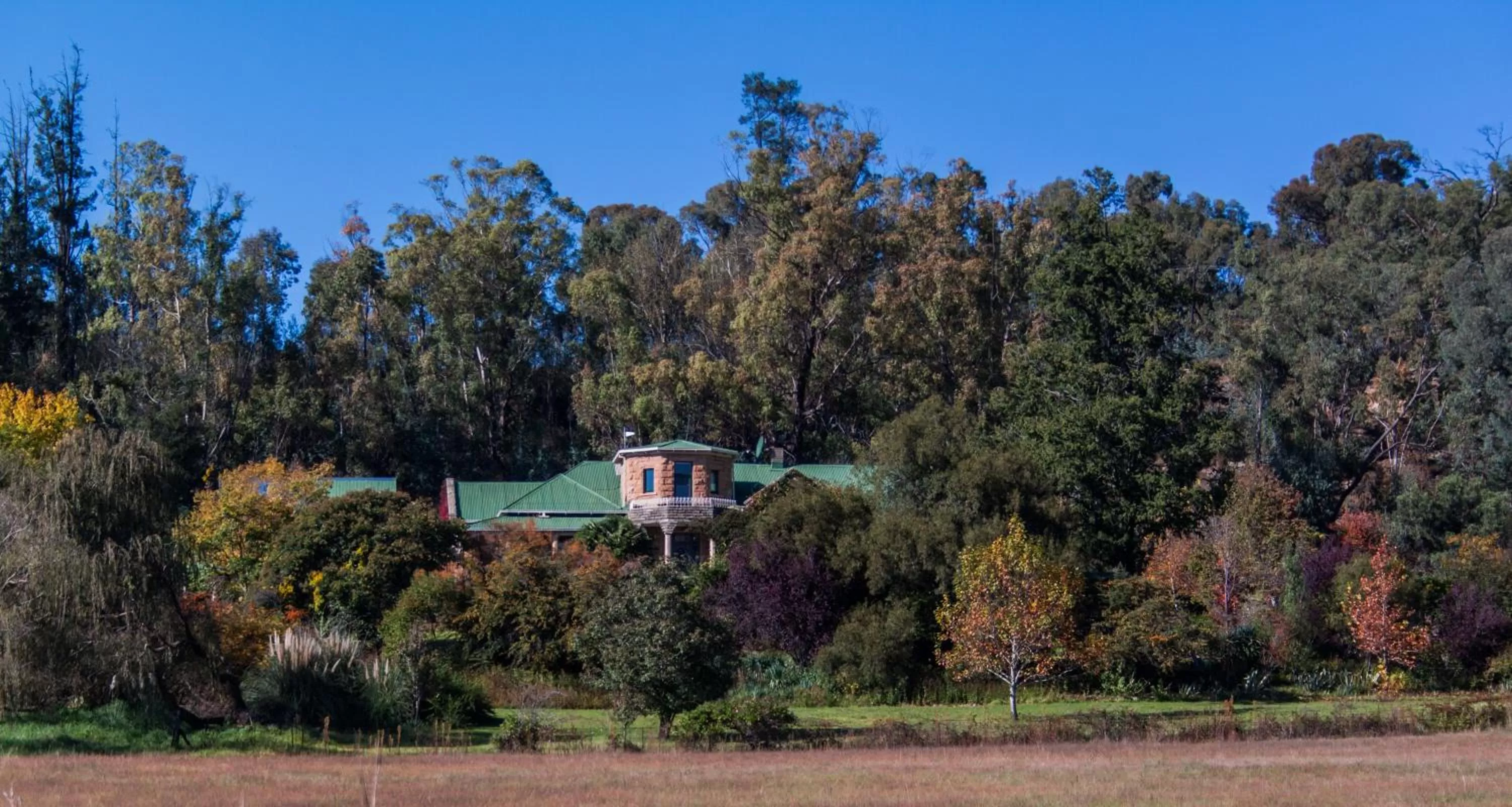 Bird's eye view in La Motte B&B