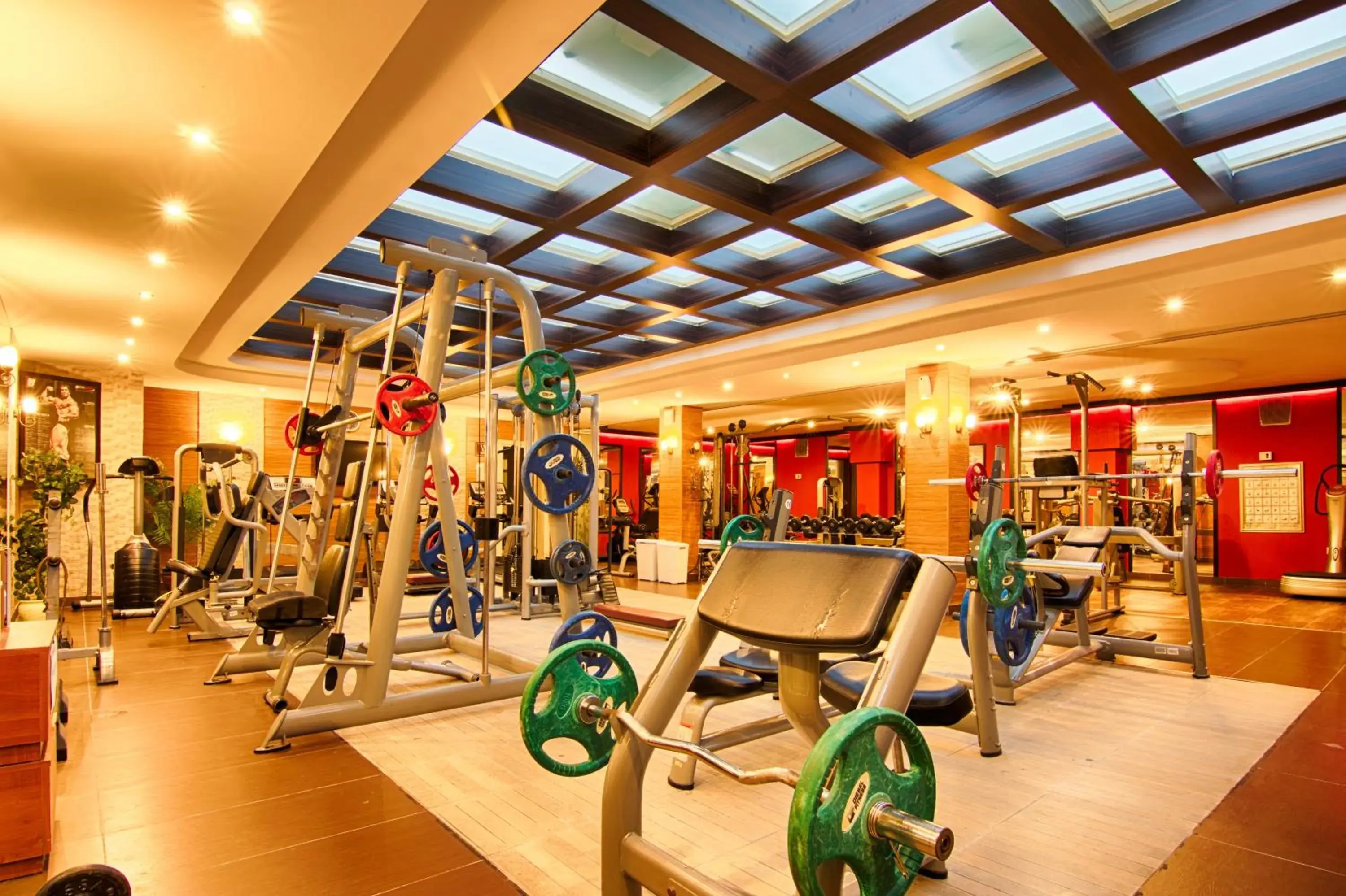 Activities, Fitness Center/Facilities in Romance Beach Hotel