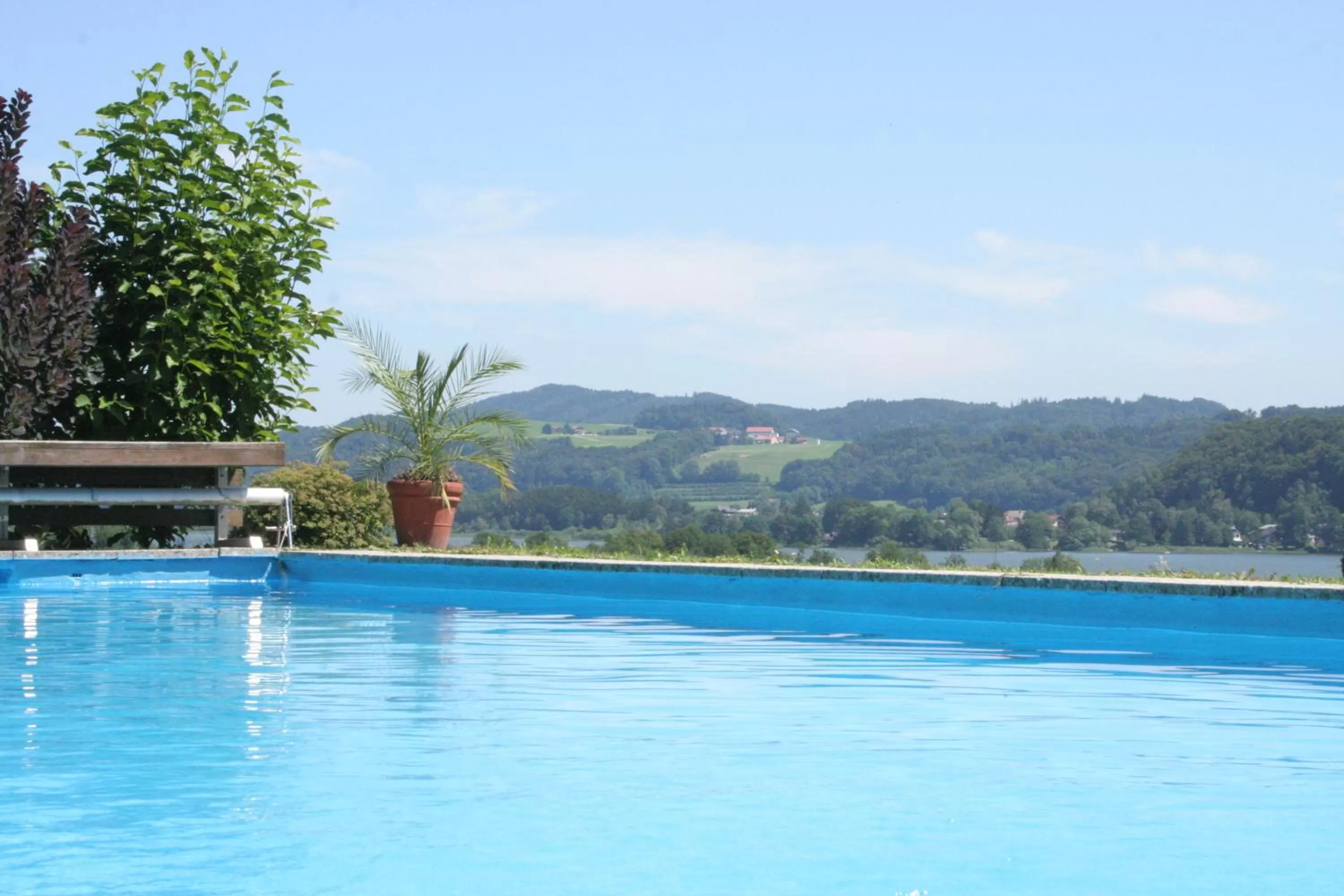 Swimming pool in Hotel Walkner