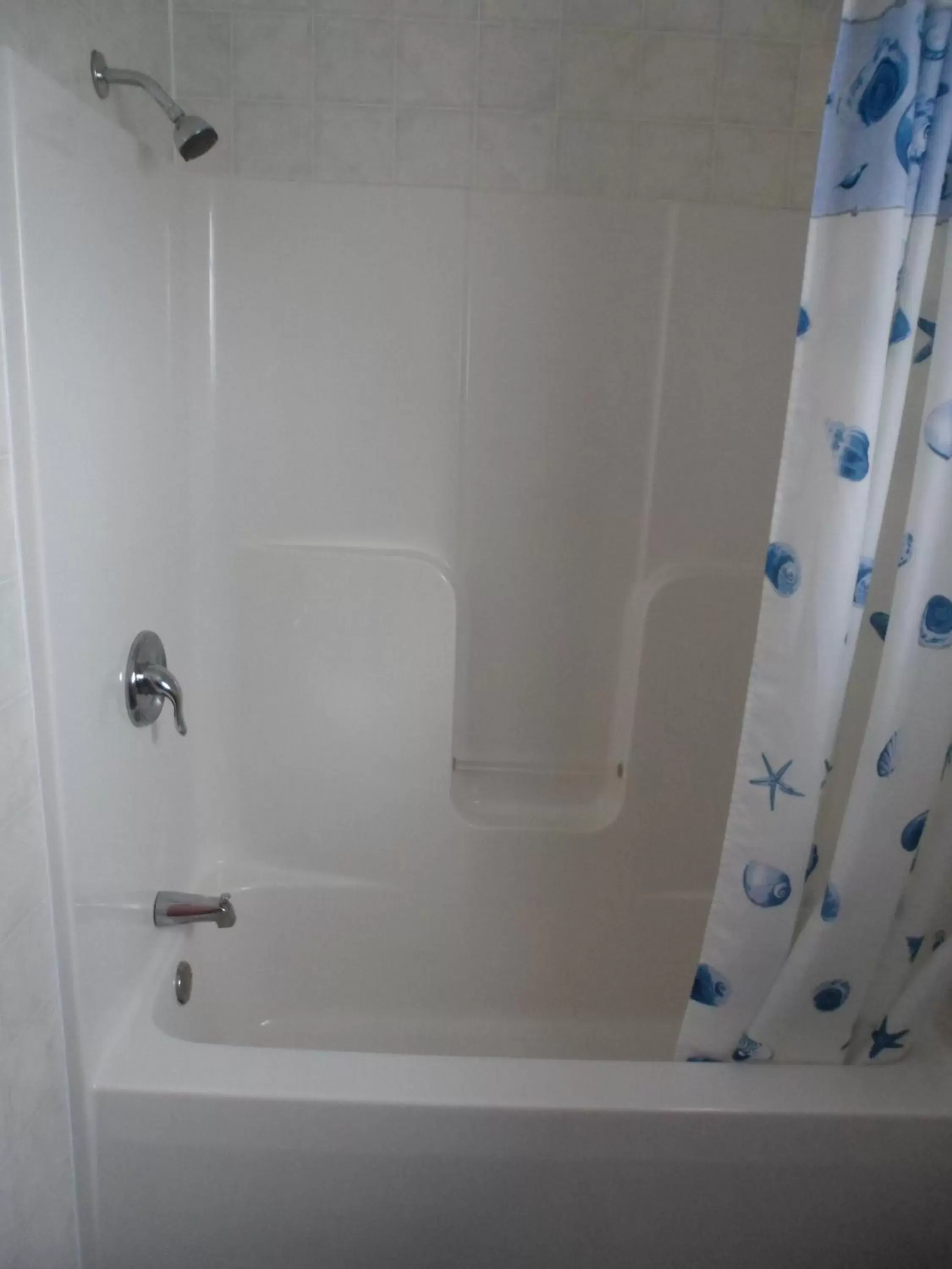 Shower, Bathroom in The Silver Birch Motel