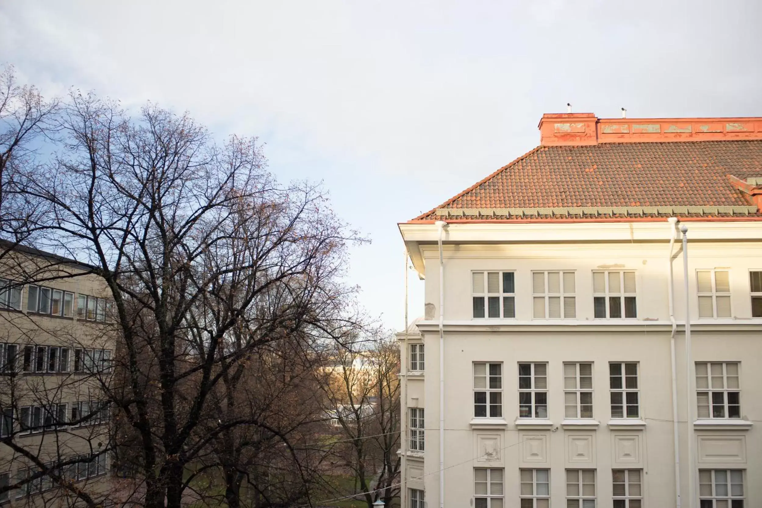 Garden view, Property Building in Hotel Arthur